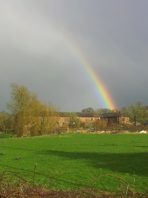 2016-04-10 20.45.40.png