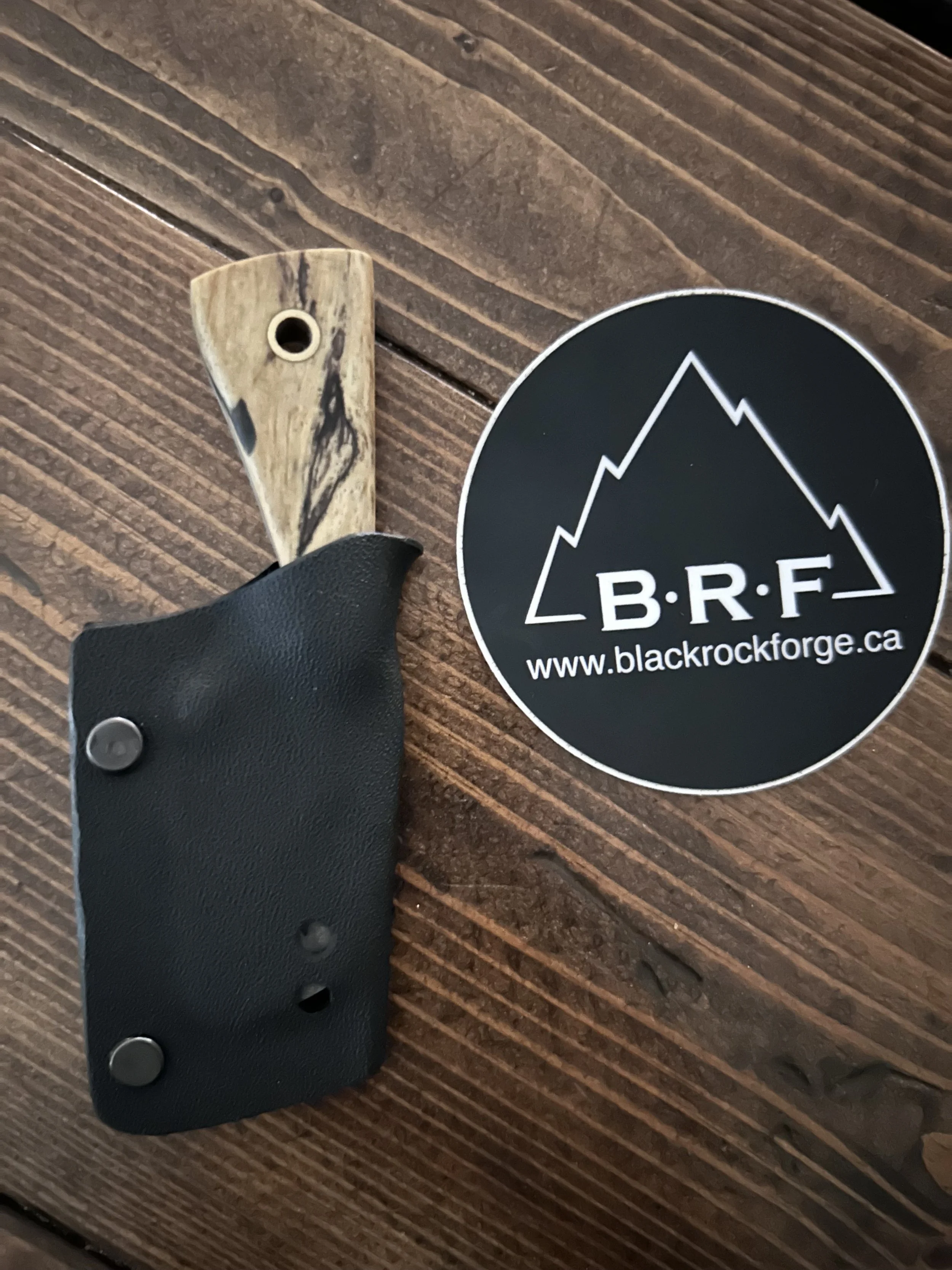 IMG_9679.jpeg (Copy)