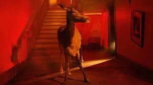 A horse standing inside a dimly lit room with red lighting, near a staircase.