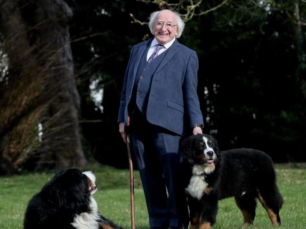 An elderly man with white hair and glasses wearing a blue suit and tie, smiling while holding a leash. Two Bernese Mountain Dogs are present, one sitting on the ground and the other standing beside him. They are outdoors with trees in the background.