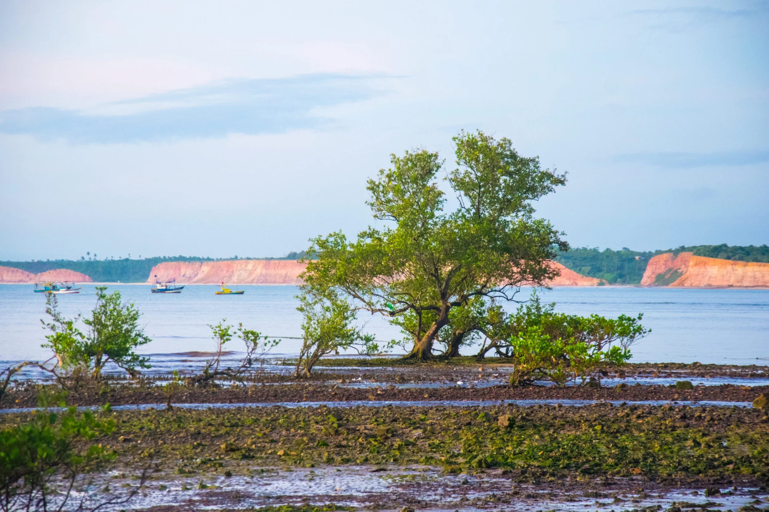 Praia da Represa.jpg