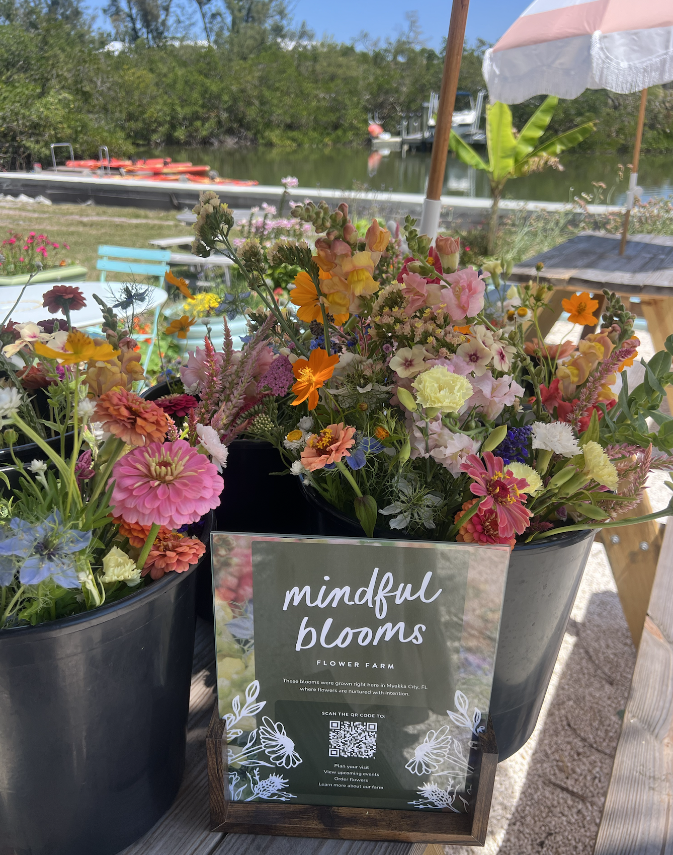 Screenshot 2026-02-01 at 9.08.25 AM.png (Copy)