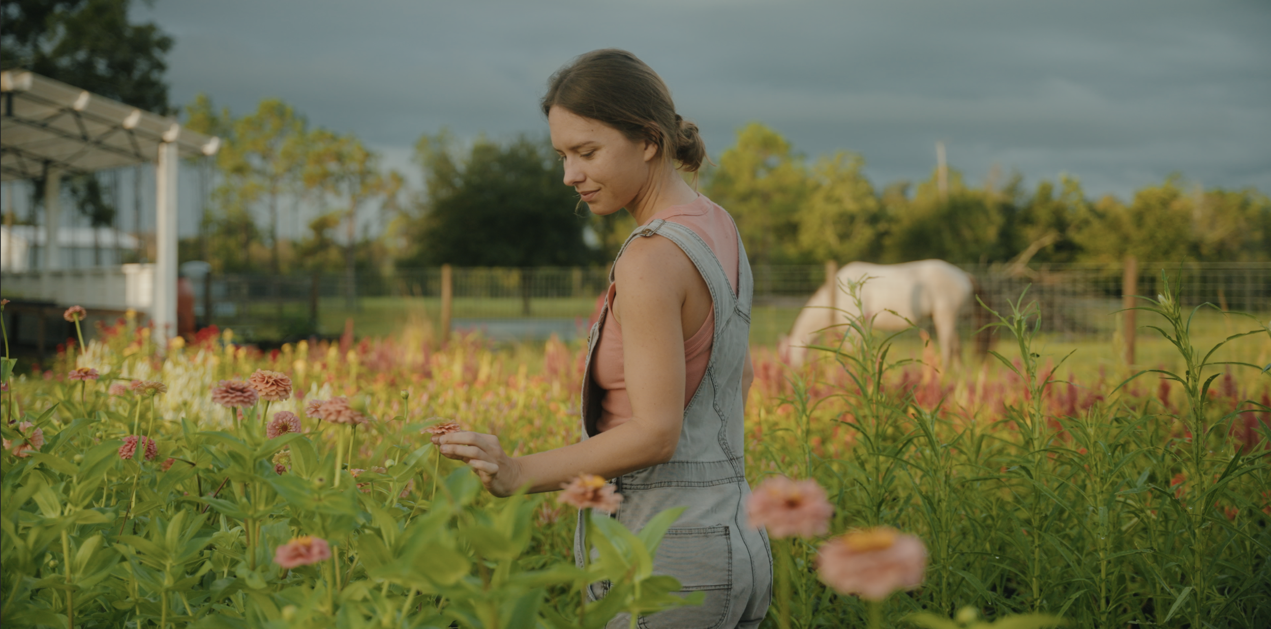 "The Flowerkeeper" Screening at the Farm