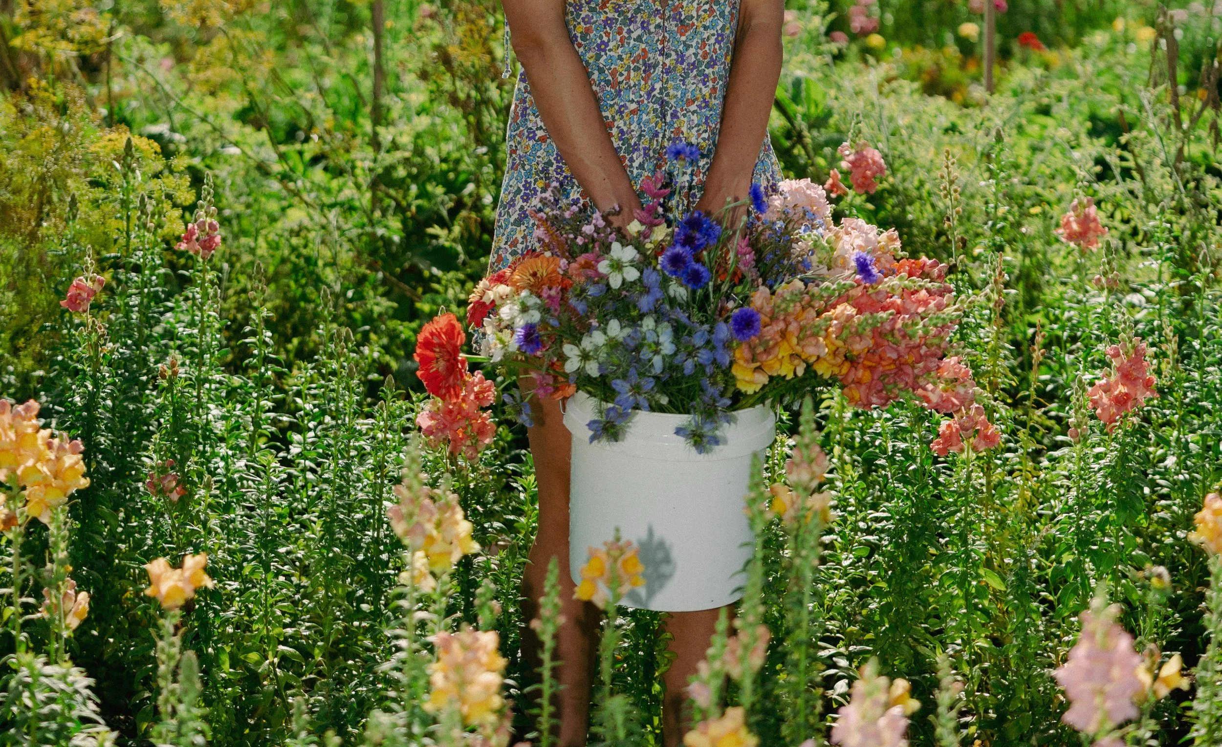 Growing Cut Flowers Class