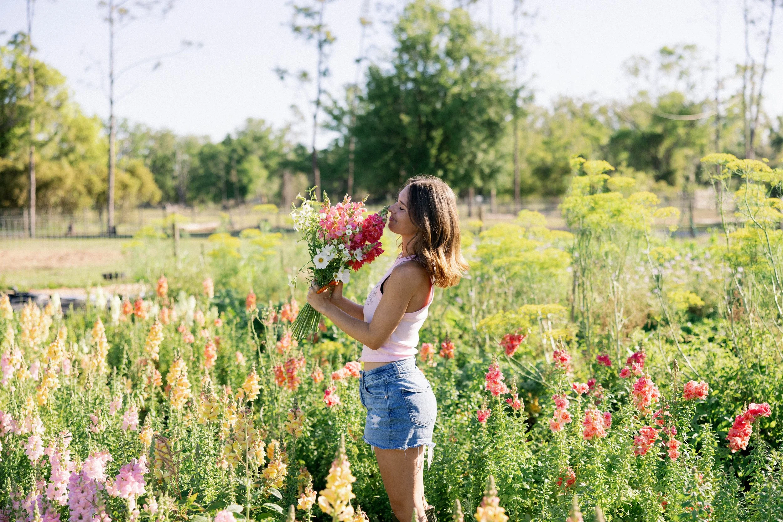 Sunset U-Pick Flowers - May 2nd