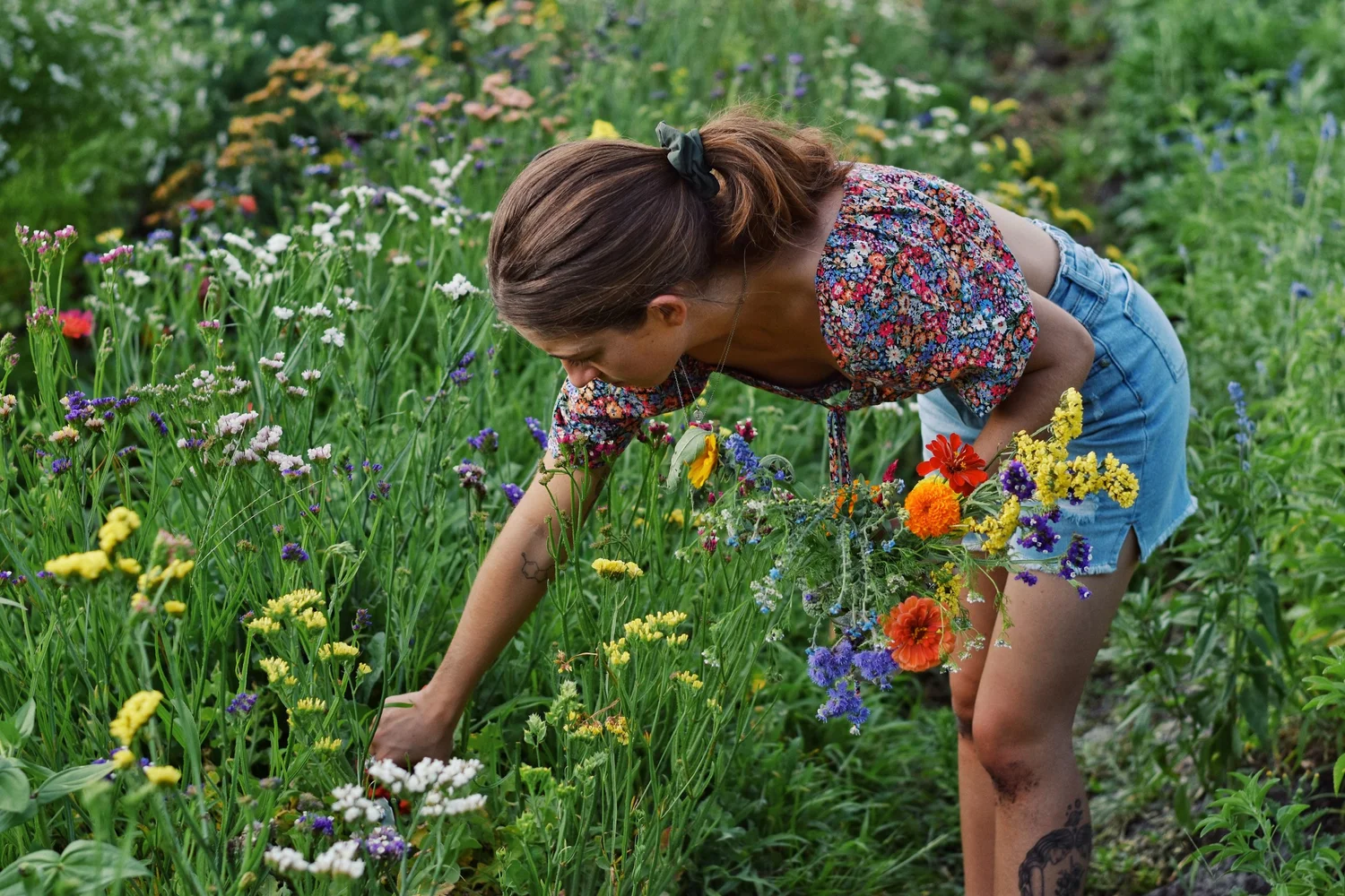 U-Pick flowers at Mindful Blooms Farm