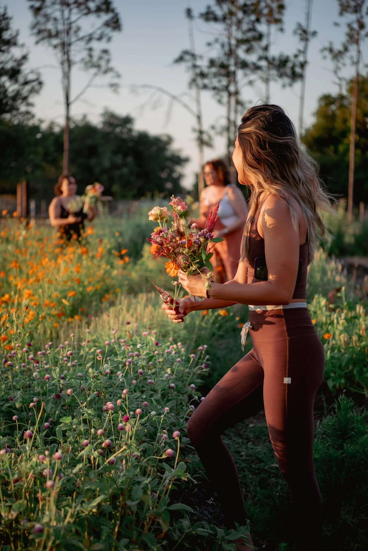 Gathering seasonal flowers in the field