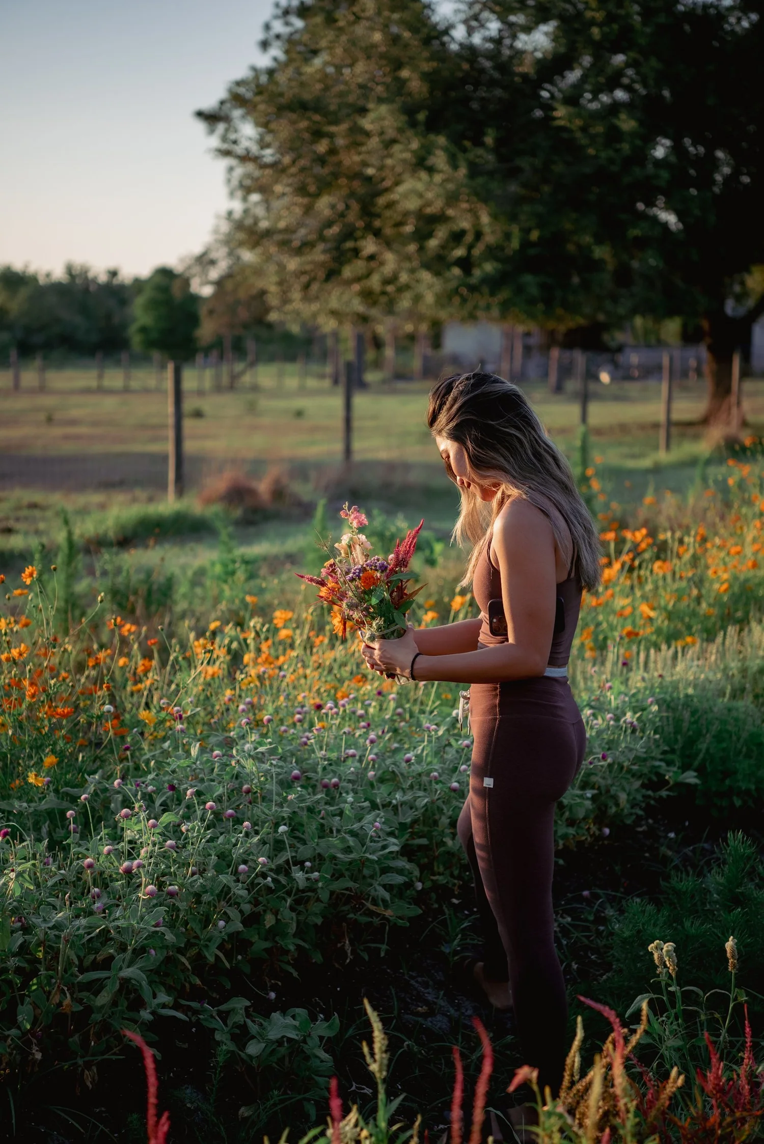 Visiting the U-Pick flower field
