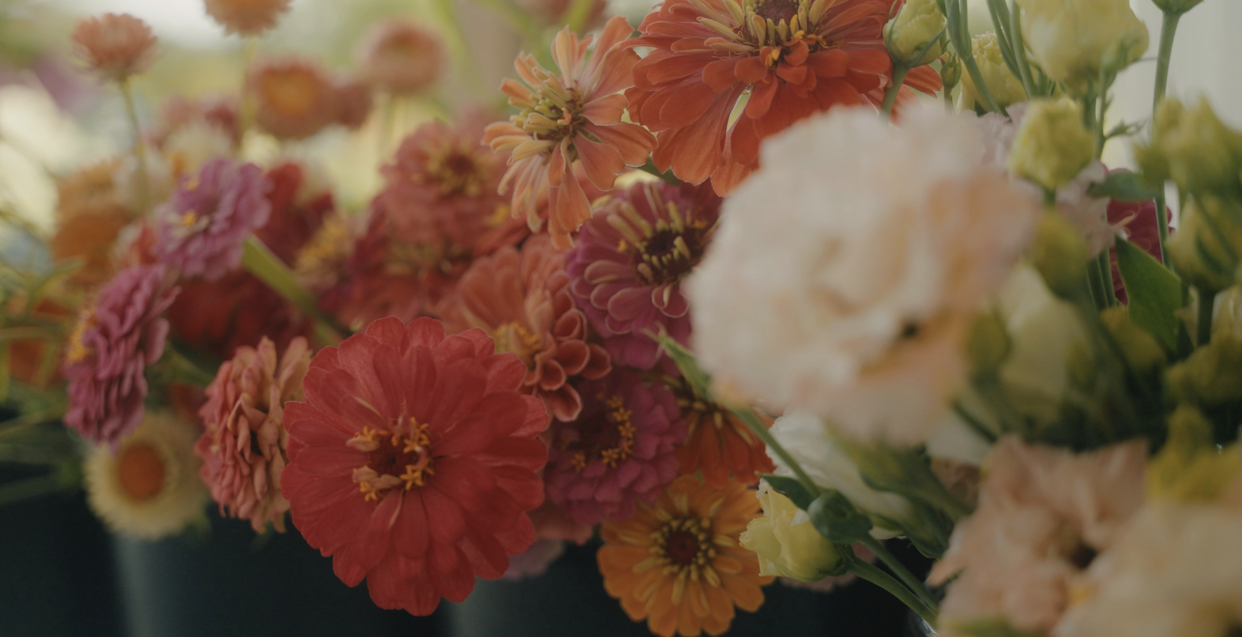 Screenshot 2026-03-29 at 8.54.37 AM.png