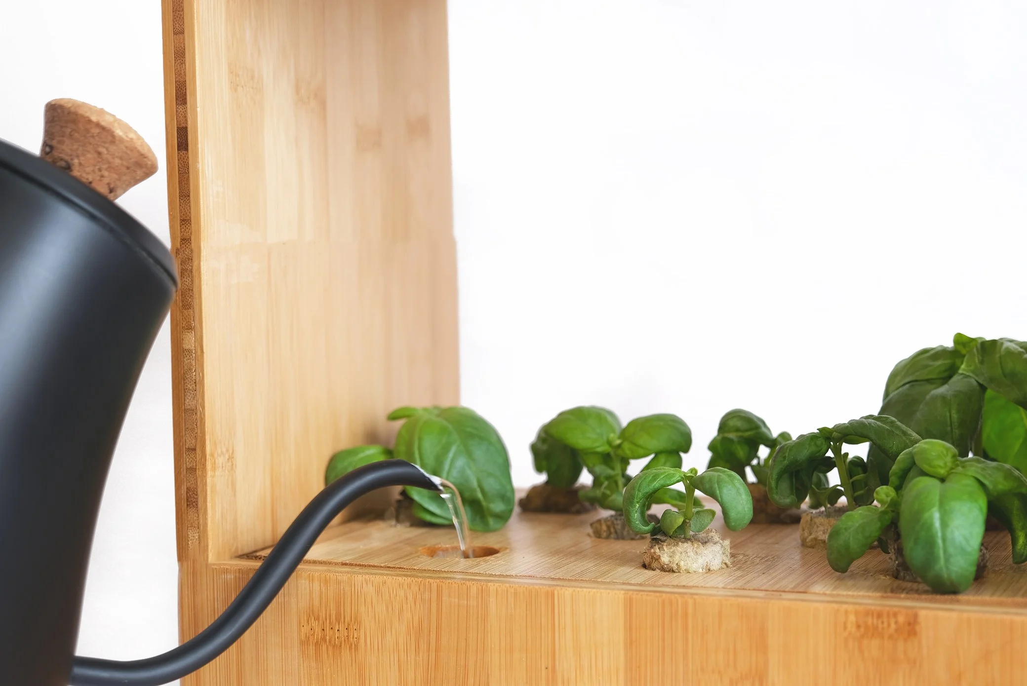Photo of a watering can pouring water into a Plant Box