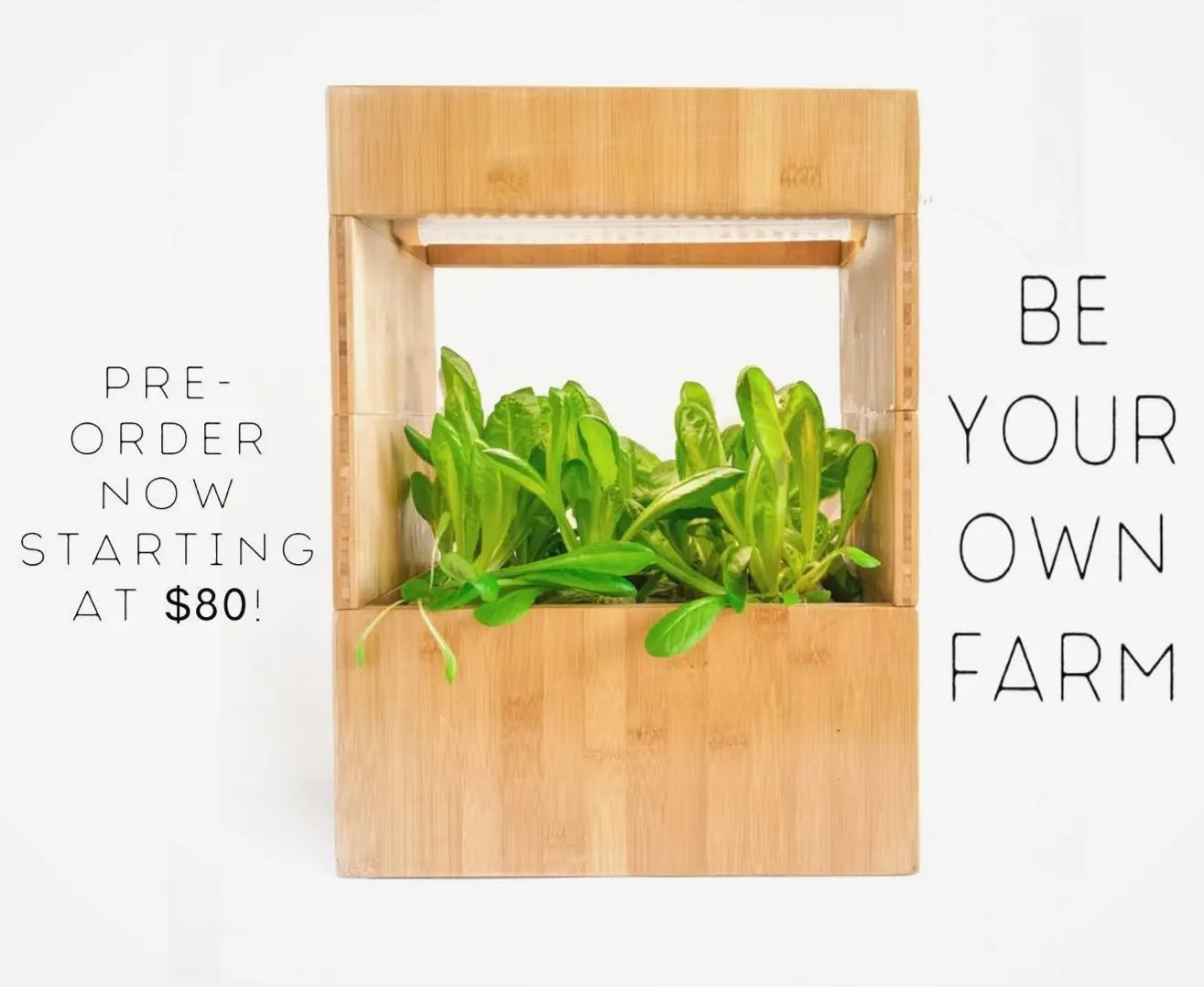 Know someone (you?!) who could use more plants in their life (&amp; diet)? We're halfway through our Kickstarter campaign for the Plant Box, and there's still time to pick one up for a sweet price!  Thanks for your support and happy growing!!