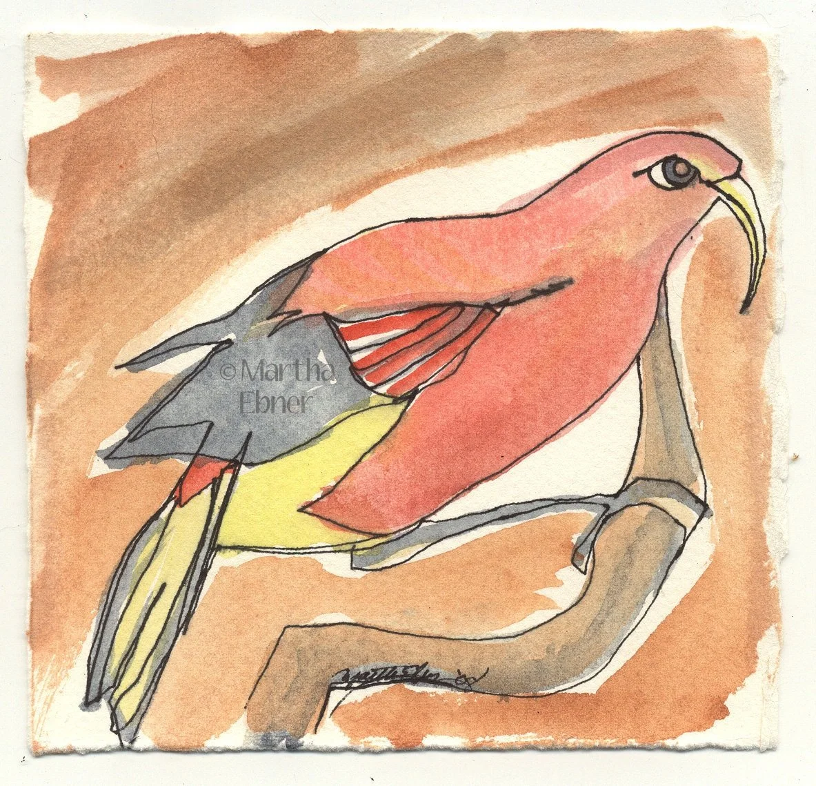 Watercolor Bird Drawing of a Hawaiian Honeycreeper Bird
