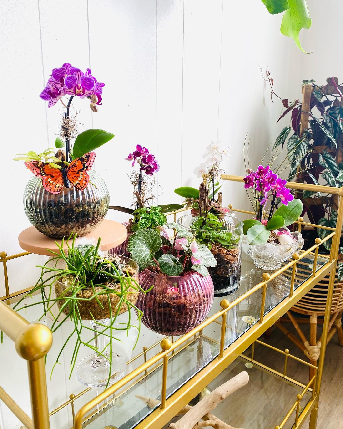 Celebrate Mother&rsquo;s Day at our plant bar Sunday 5/12 , 11am - 5pm. Reservations are encouraged for this special event. See link in bio 💚

Sip n&rsquo; Make terrariums with mom or come make a special handmade gift.

Premade plant arrangements wi