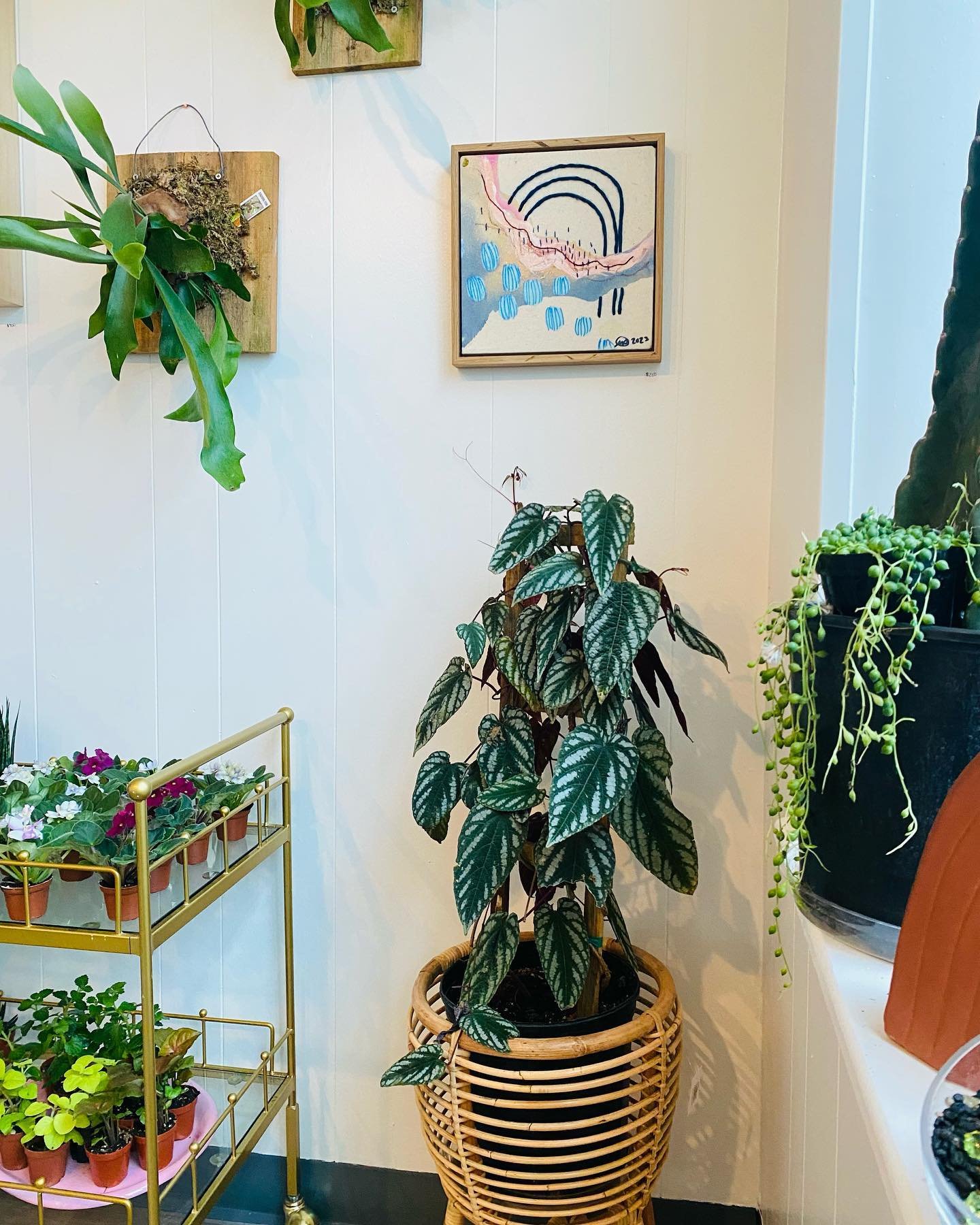 Shop things that make me smile. 

#indigroplants #plantshop #localplants #localplantshop #localart #handmadeplanters #ceramicart #artgallery #plantshopvibes #plantbar #mainstreettakoma #washingtondc #mountedorchids #orchids #orchidart