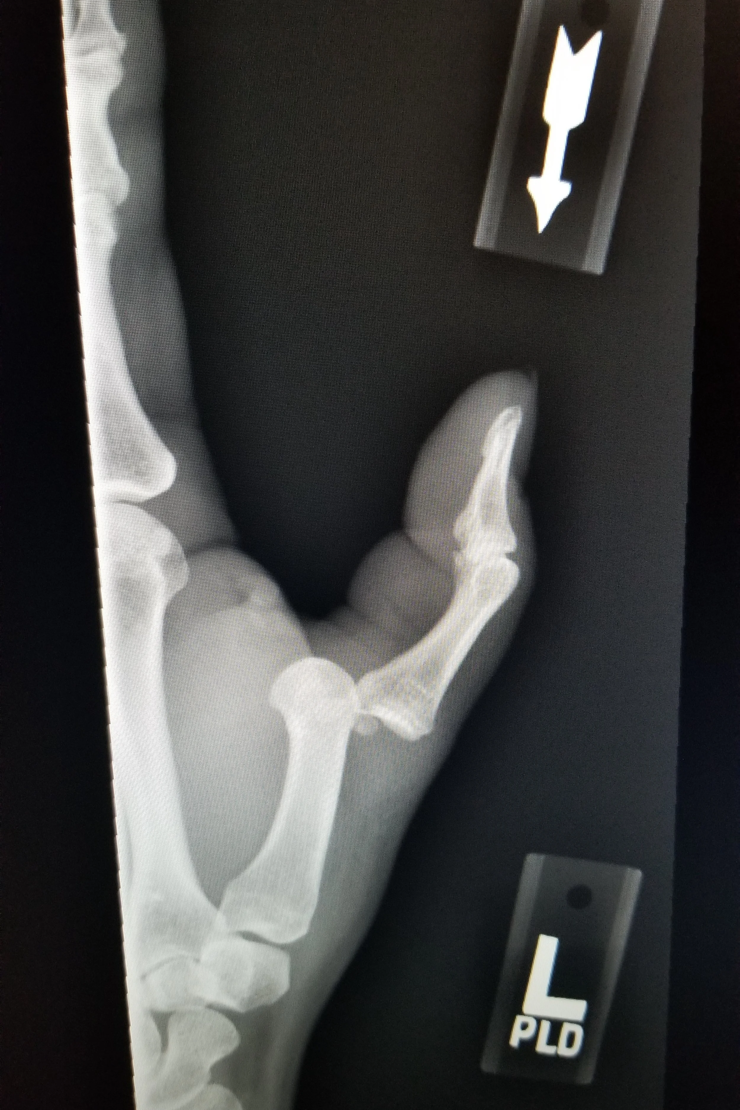 20190622_195938.jpg