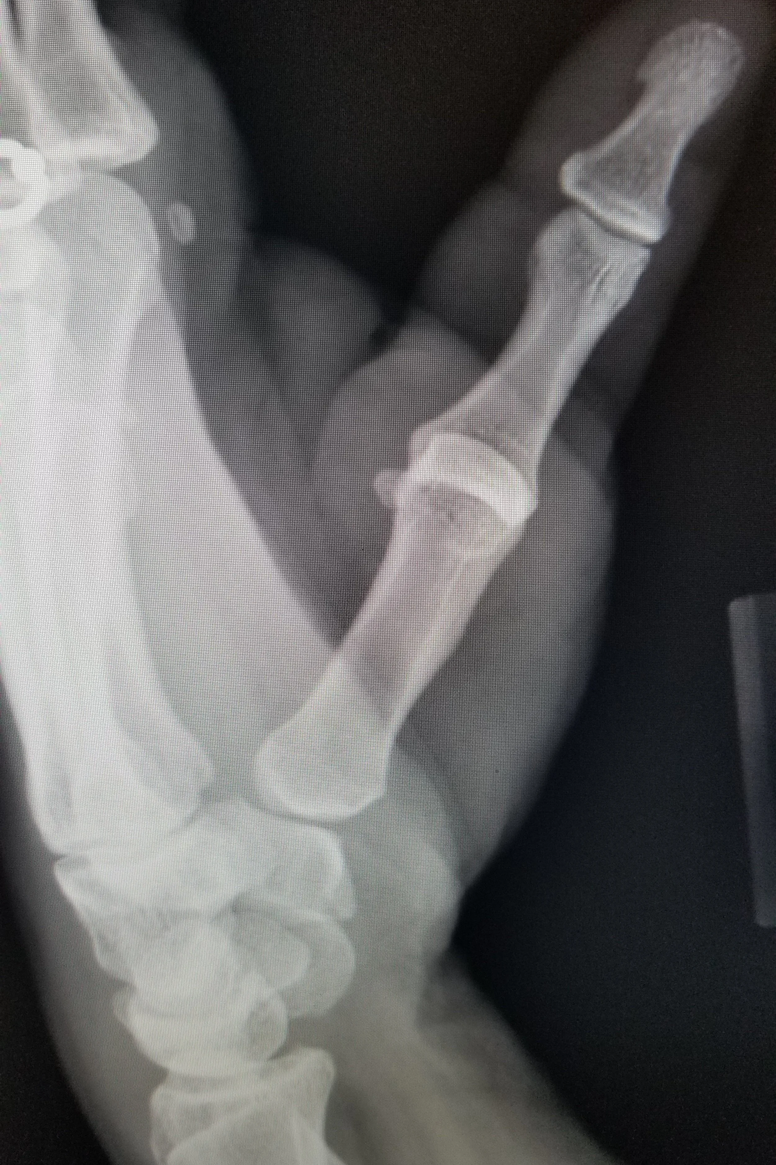 20190622_195943.jpg