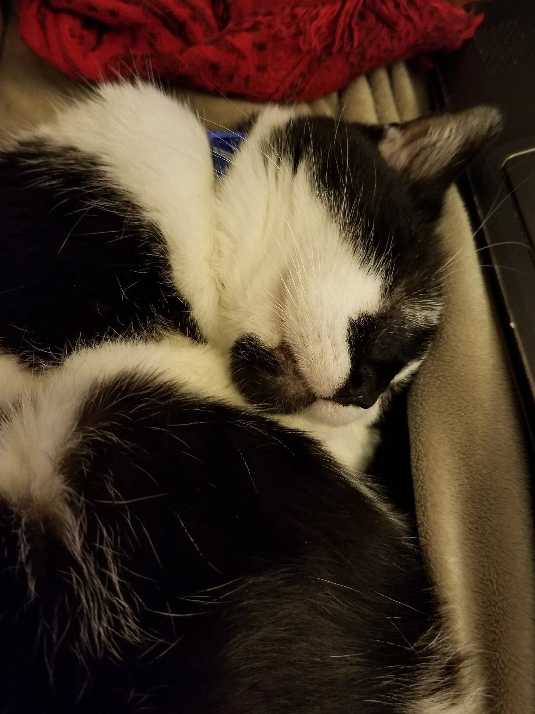 20190123_014352.jpg