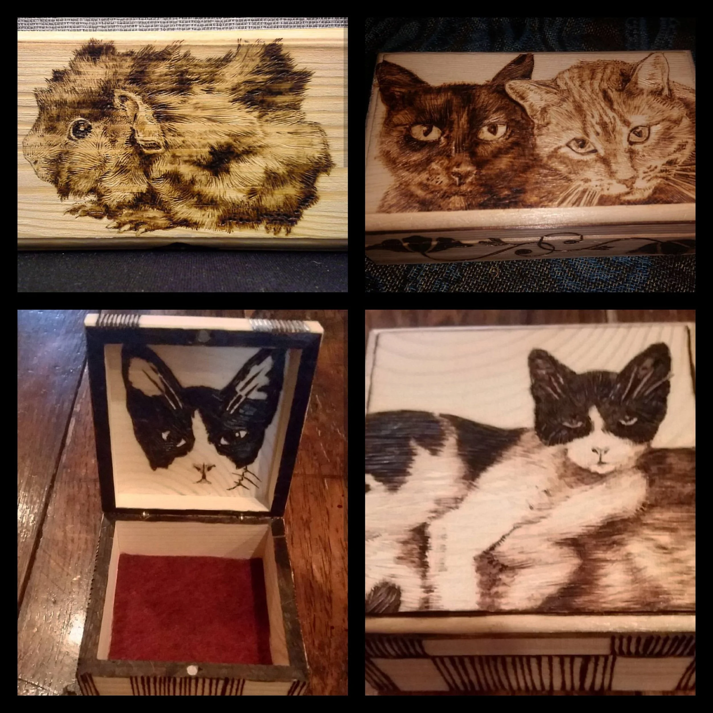 Animal collage 2019 (1).jpg