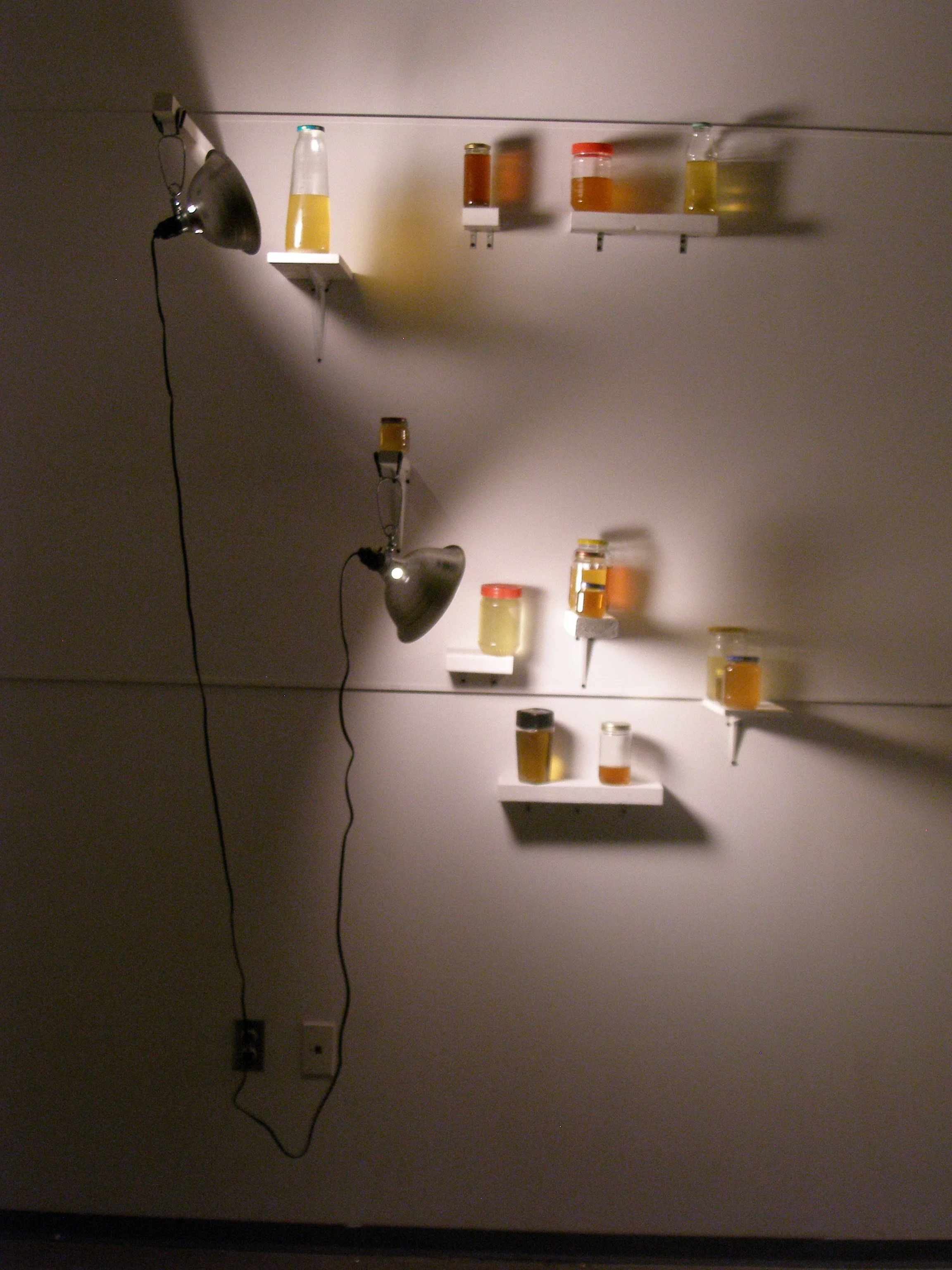 P1010040.JPG