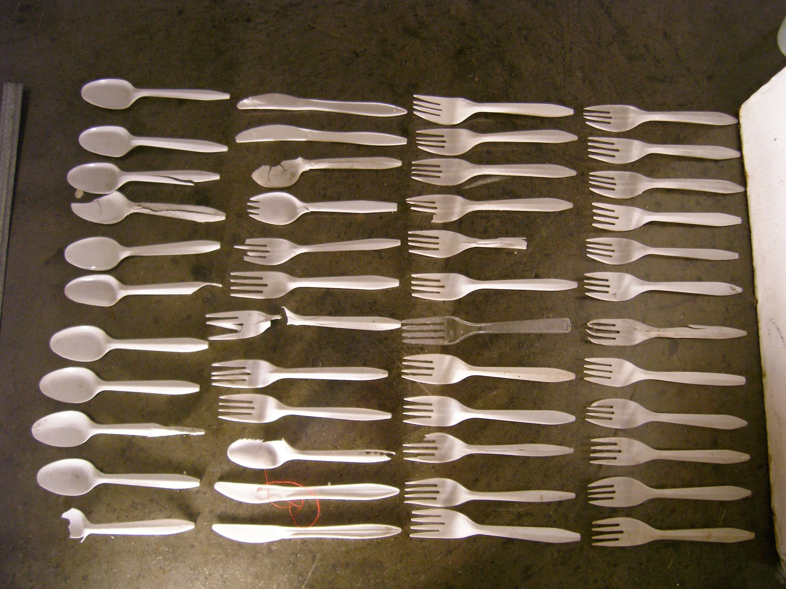 P1010067.JPG