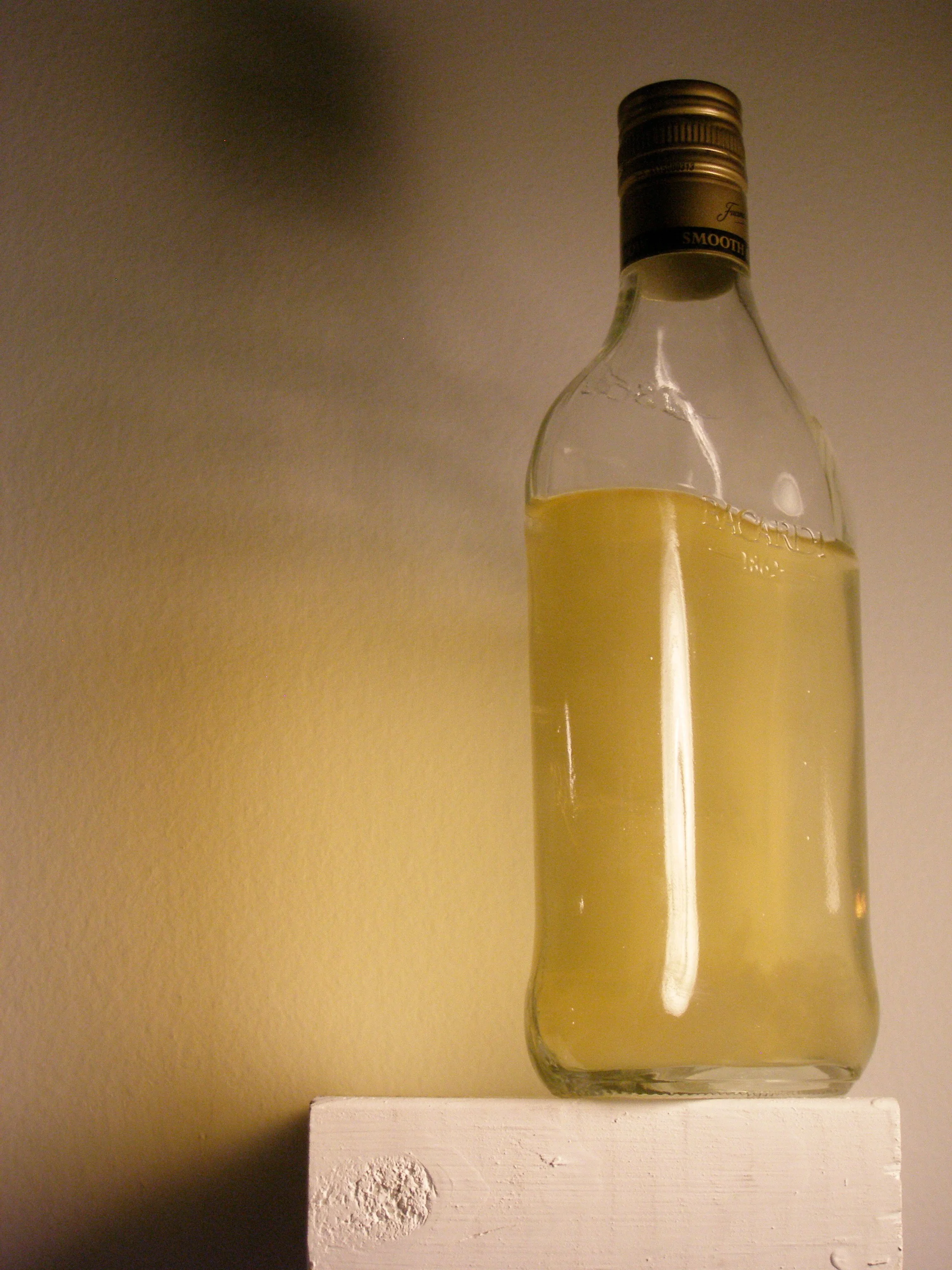 P1010066.JPG