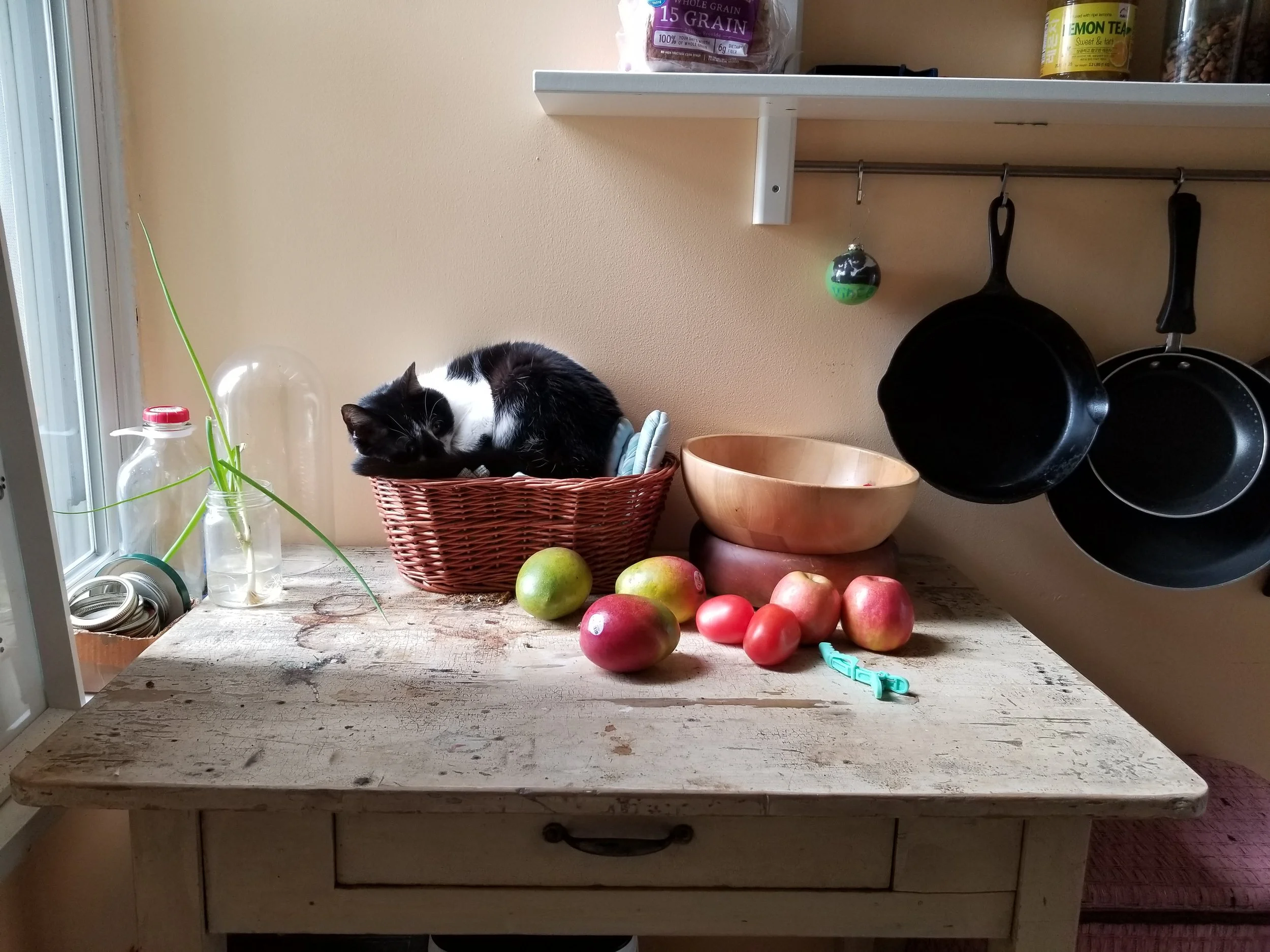 20190506_161948.jpg