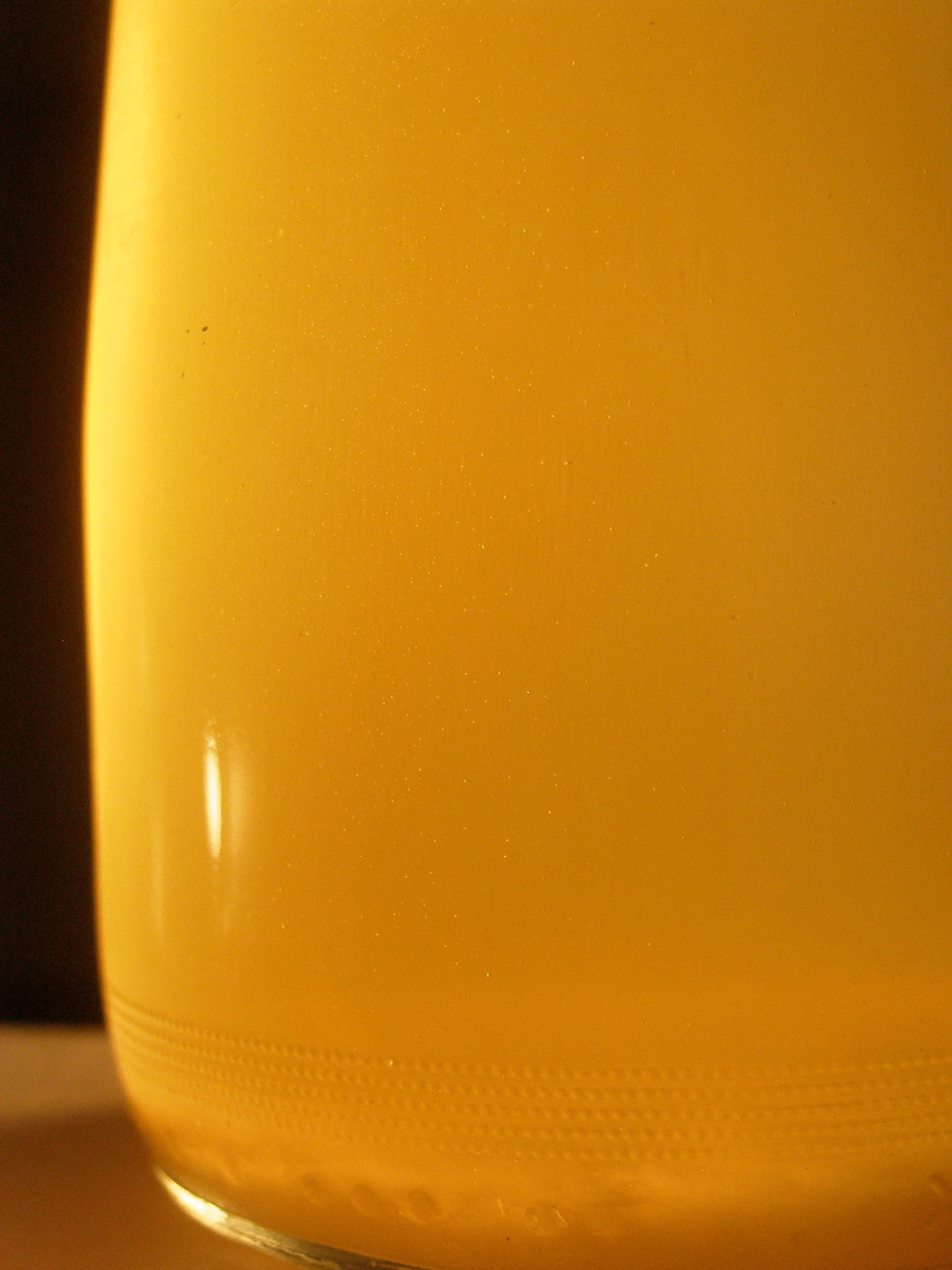 P1010153.JPG