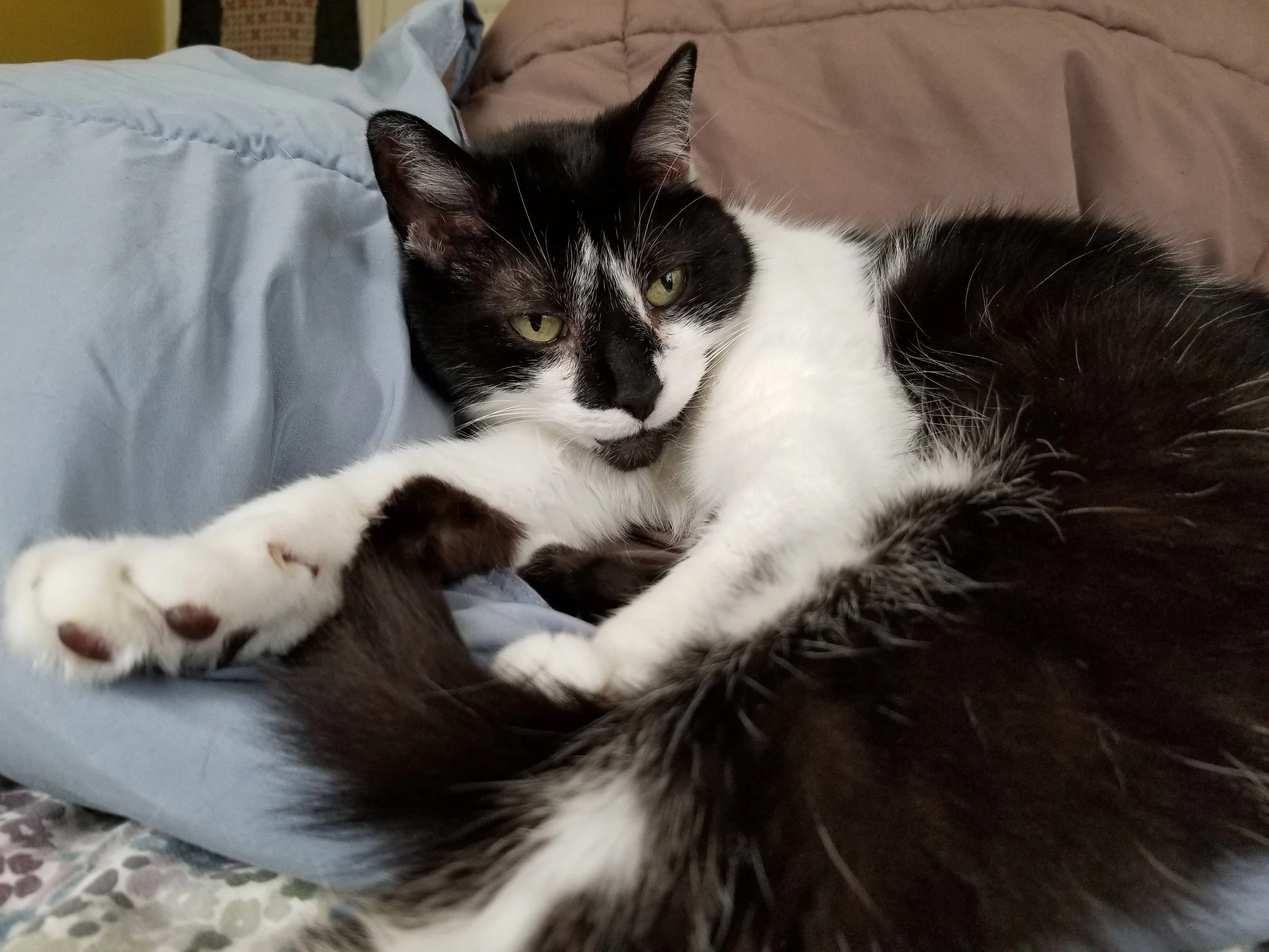 20190602_113428.jpg
