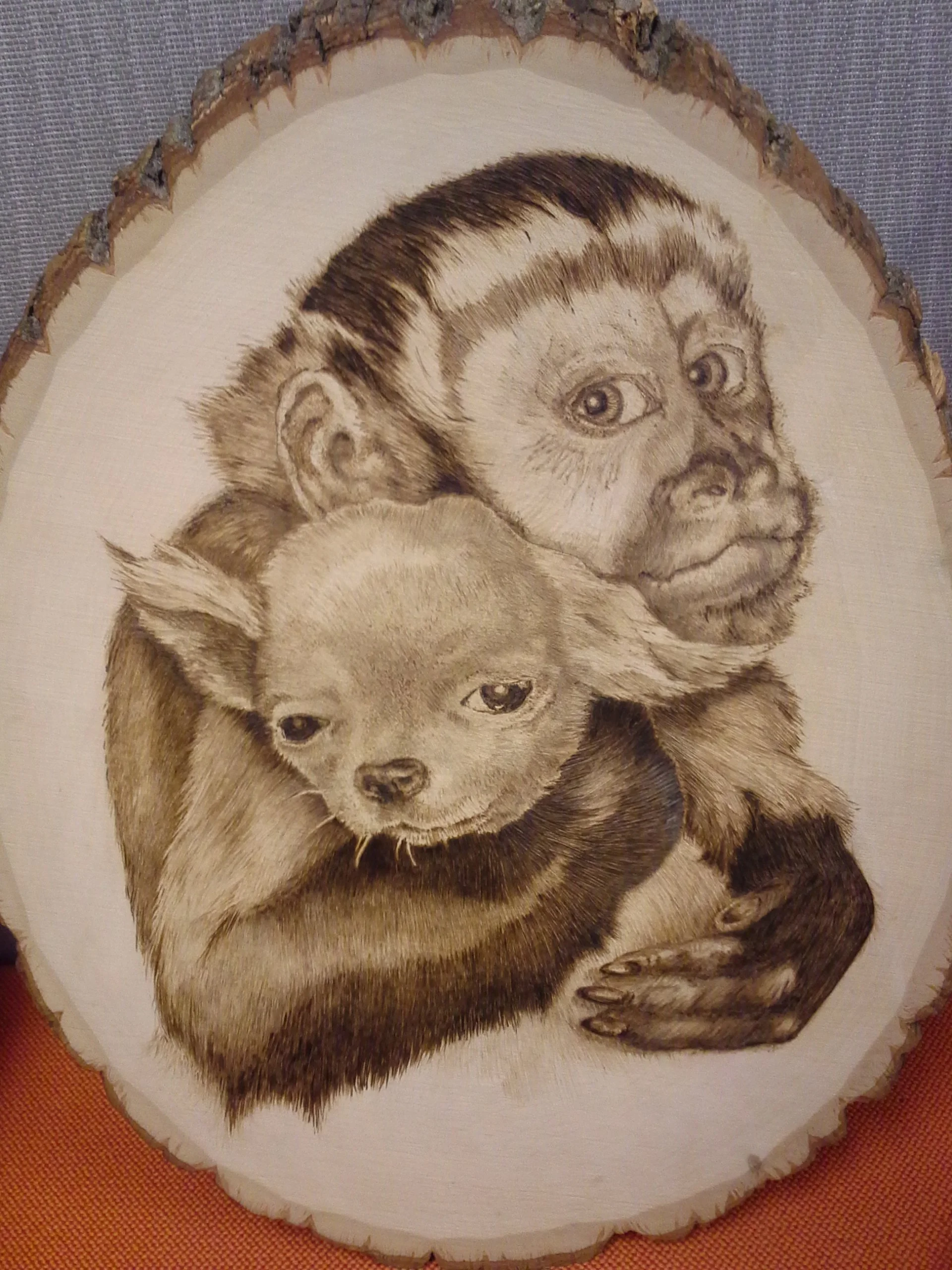 2014_Monkey and Pup love.jpg
