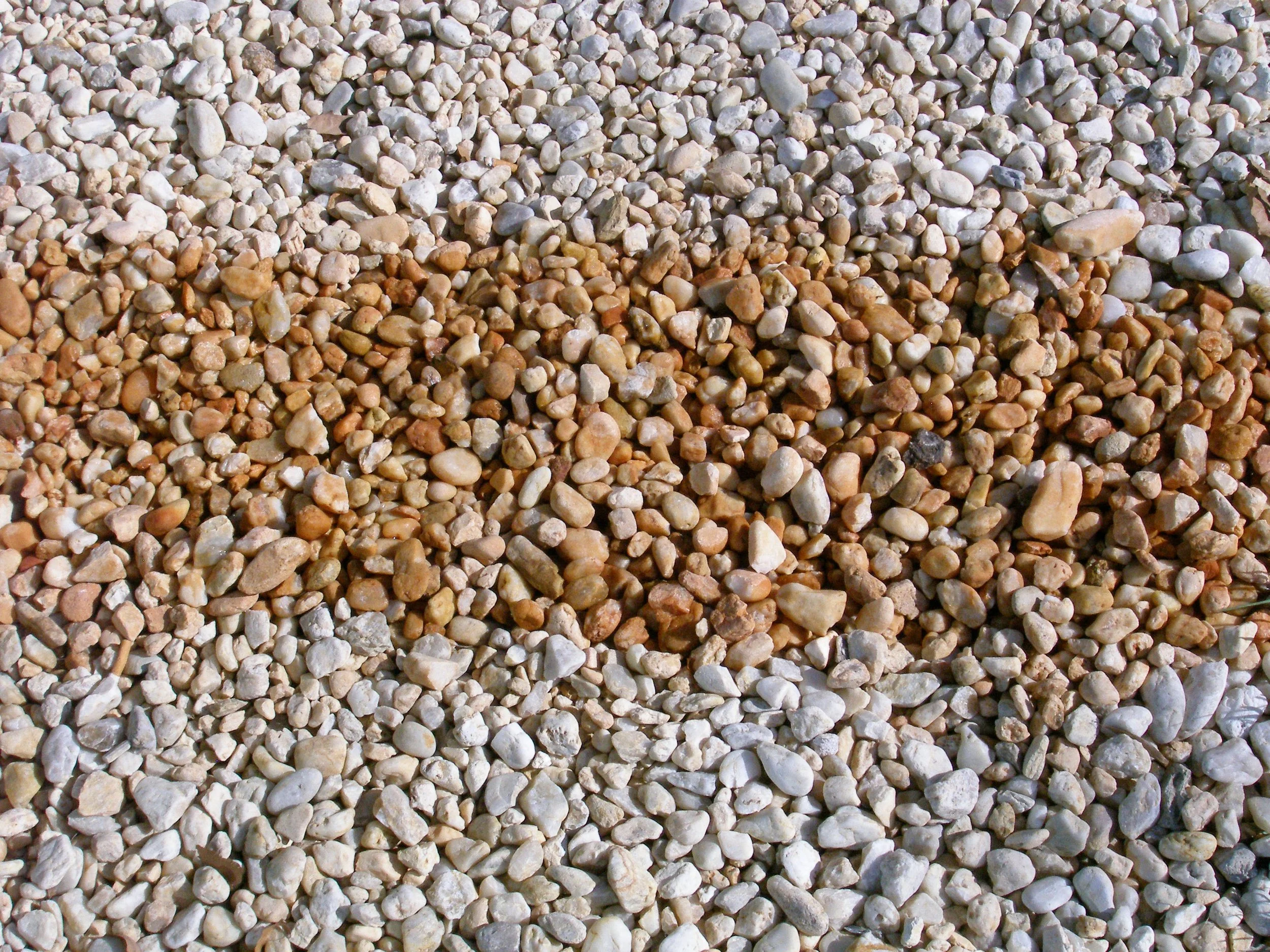 P1010023.JPG