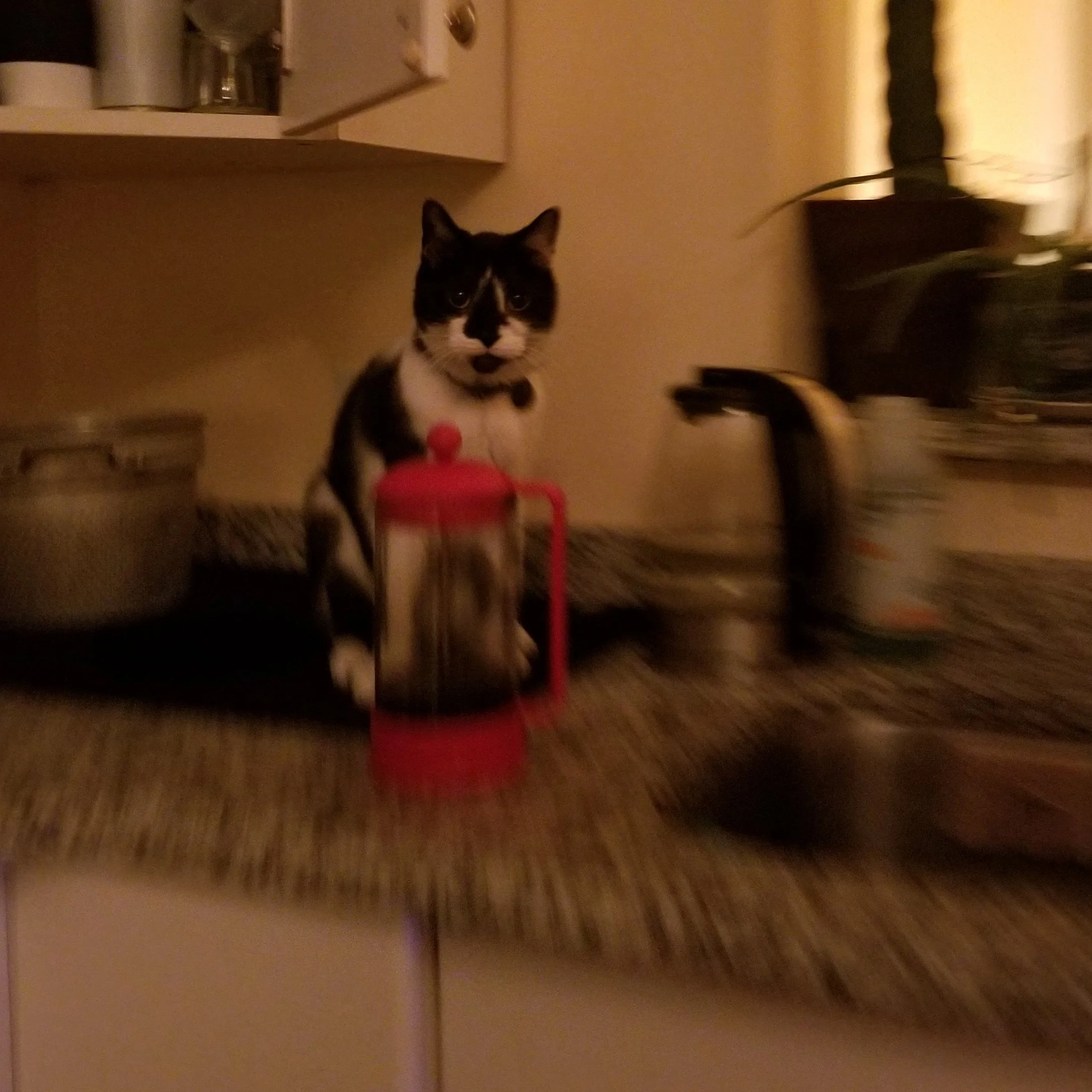 IMG_20191102_205118_786.jpg