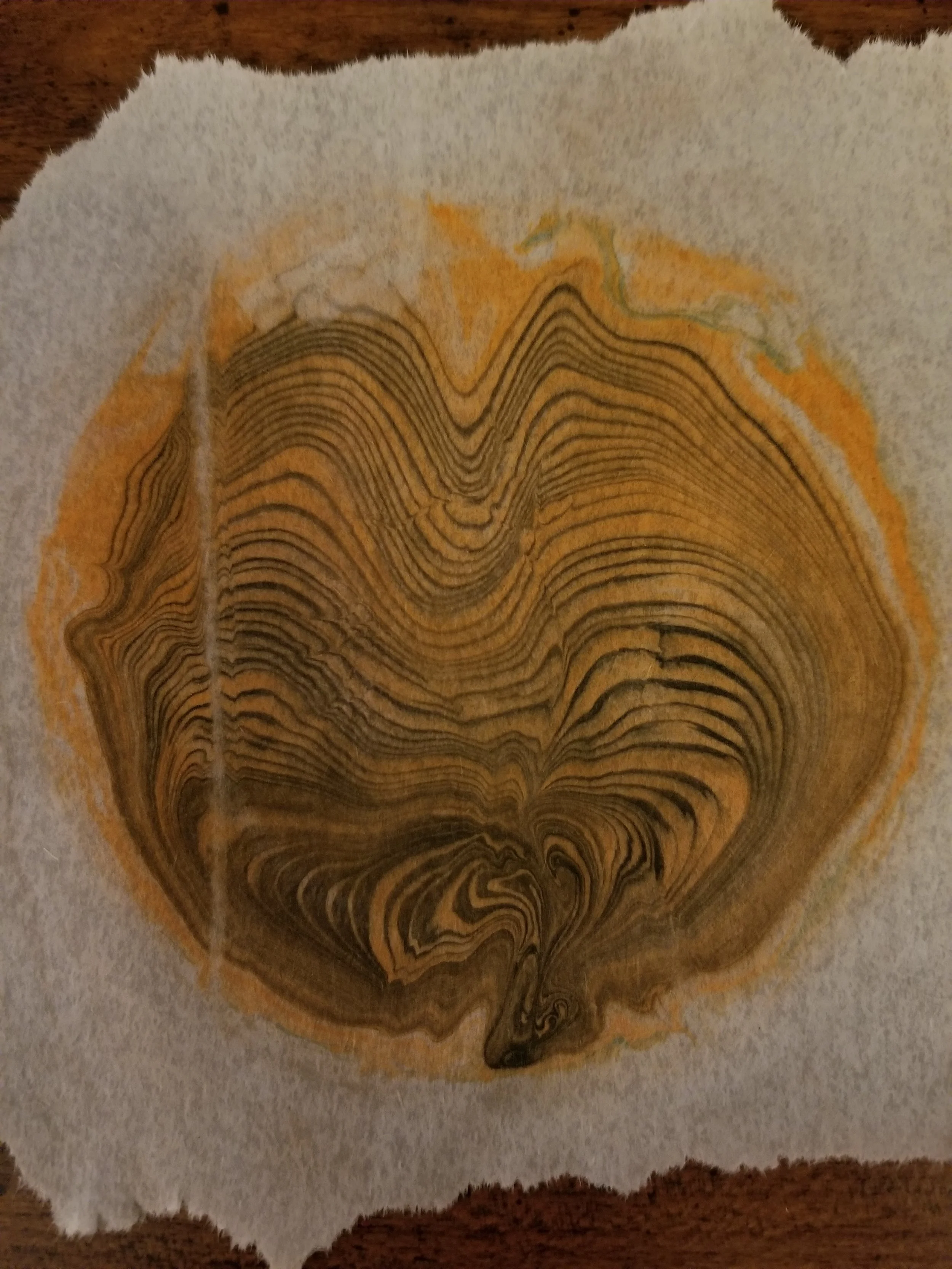 20190507_224037.jpg