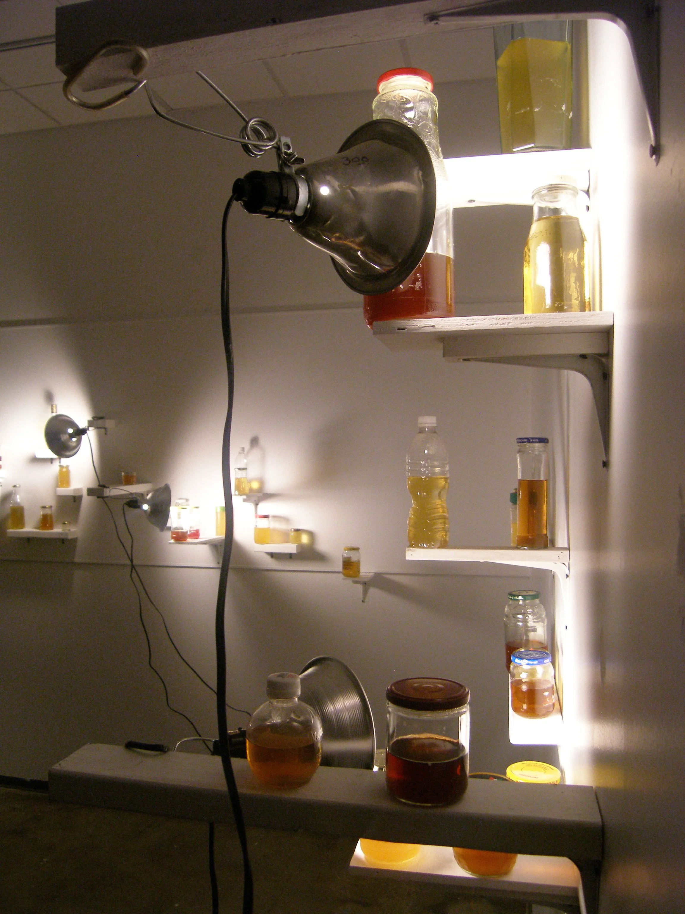 P1010145.JPG