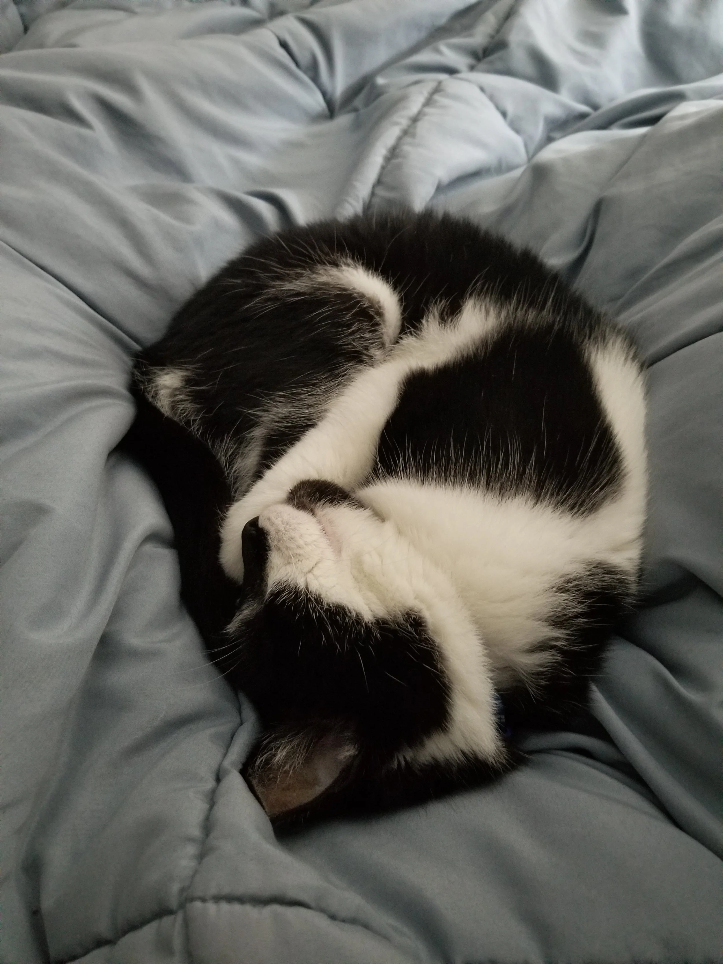 20180923_084812.jpg