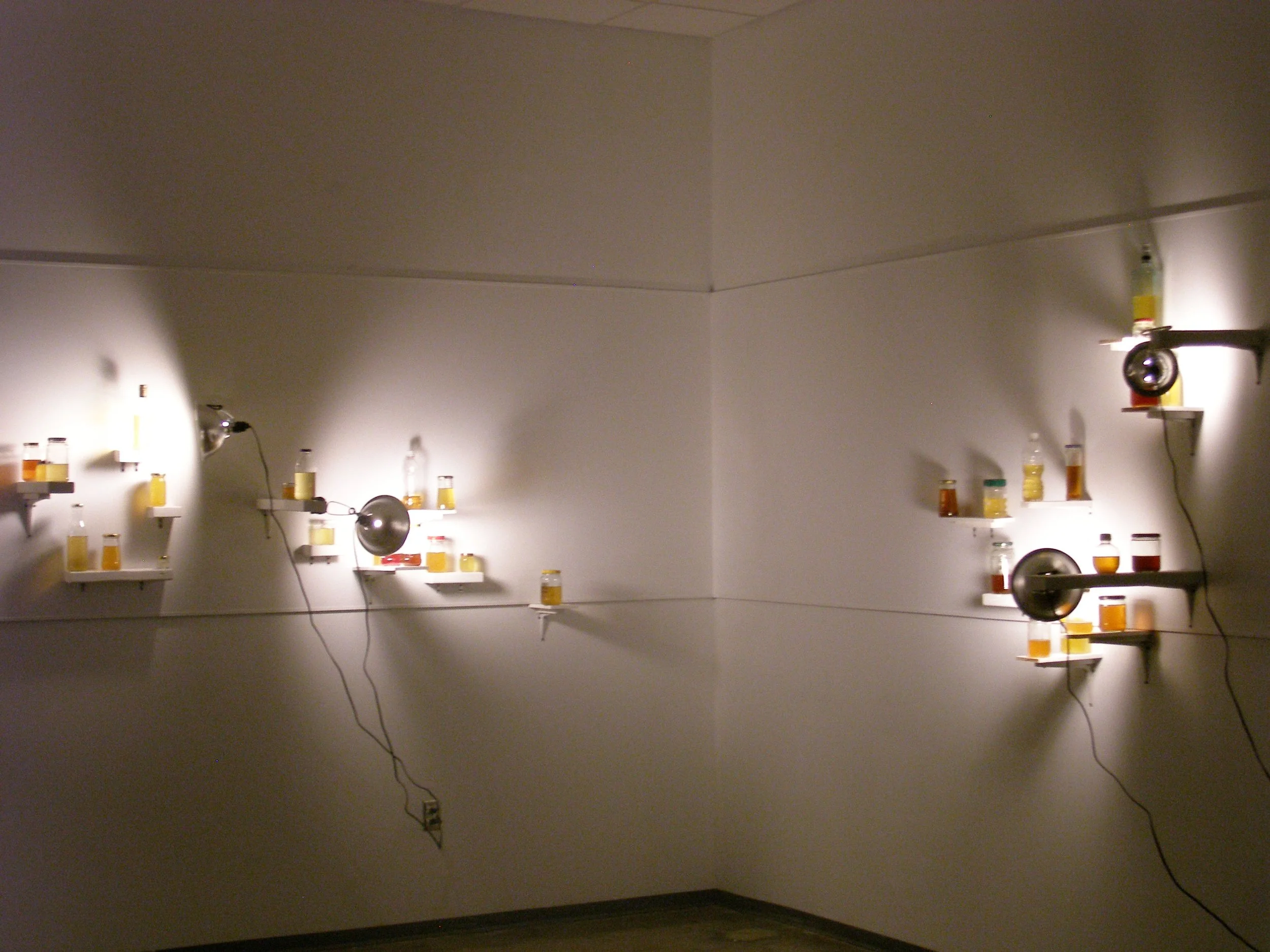 P1010098.JPG