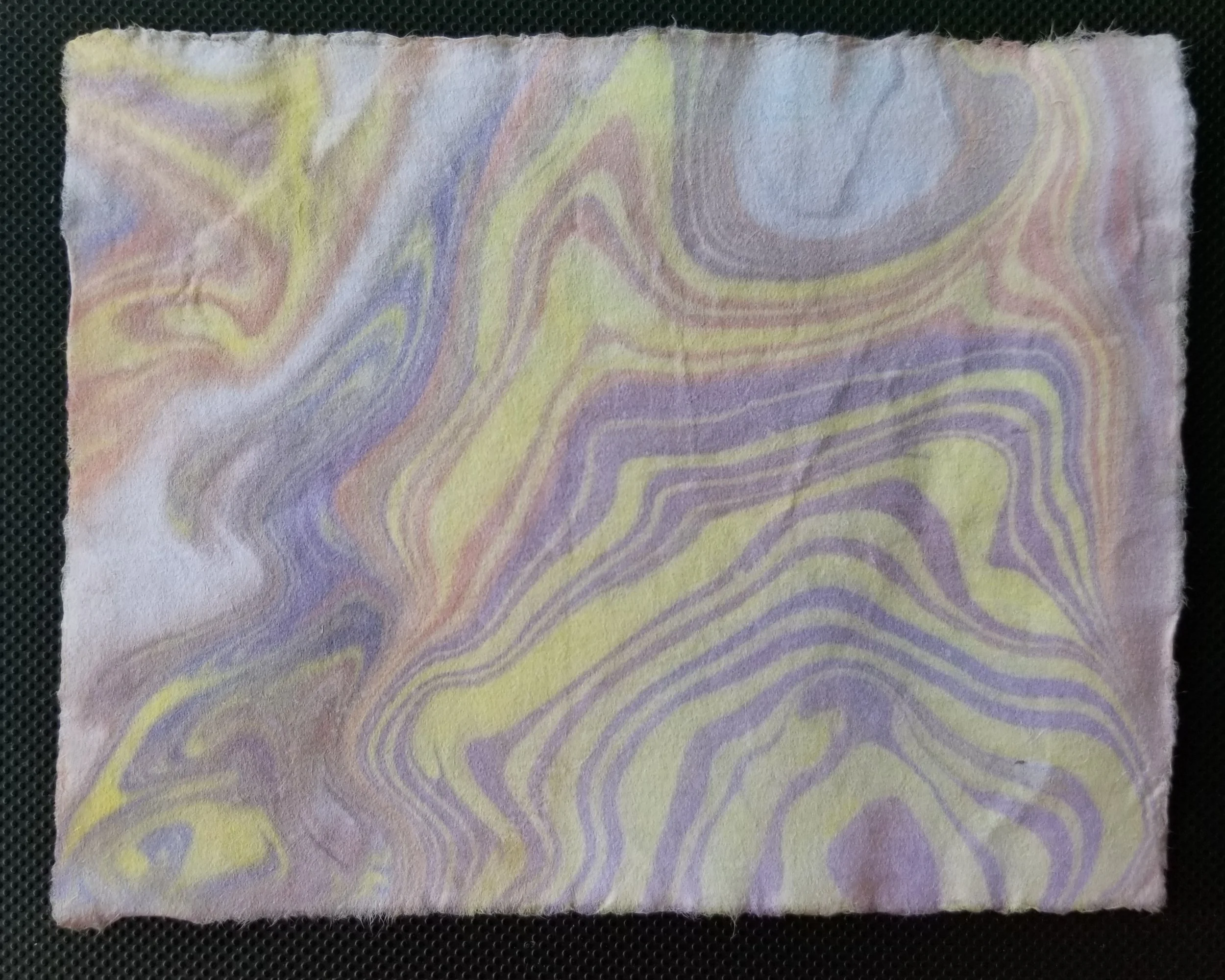 20190526_125737.jpg