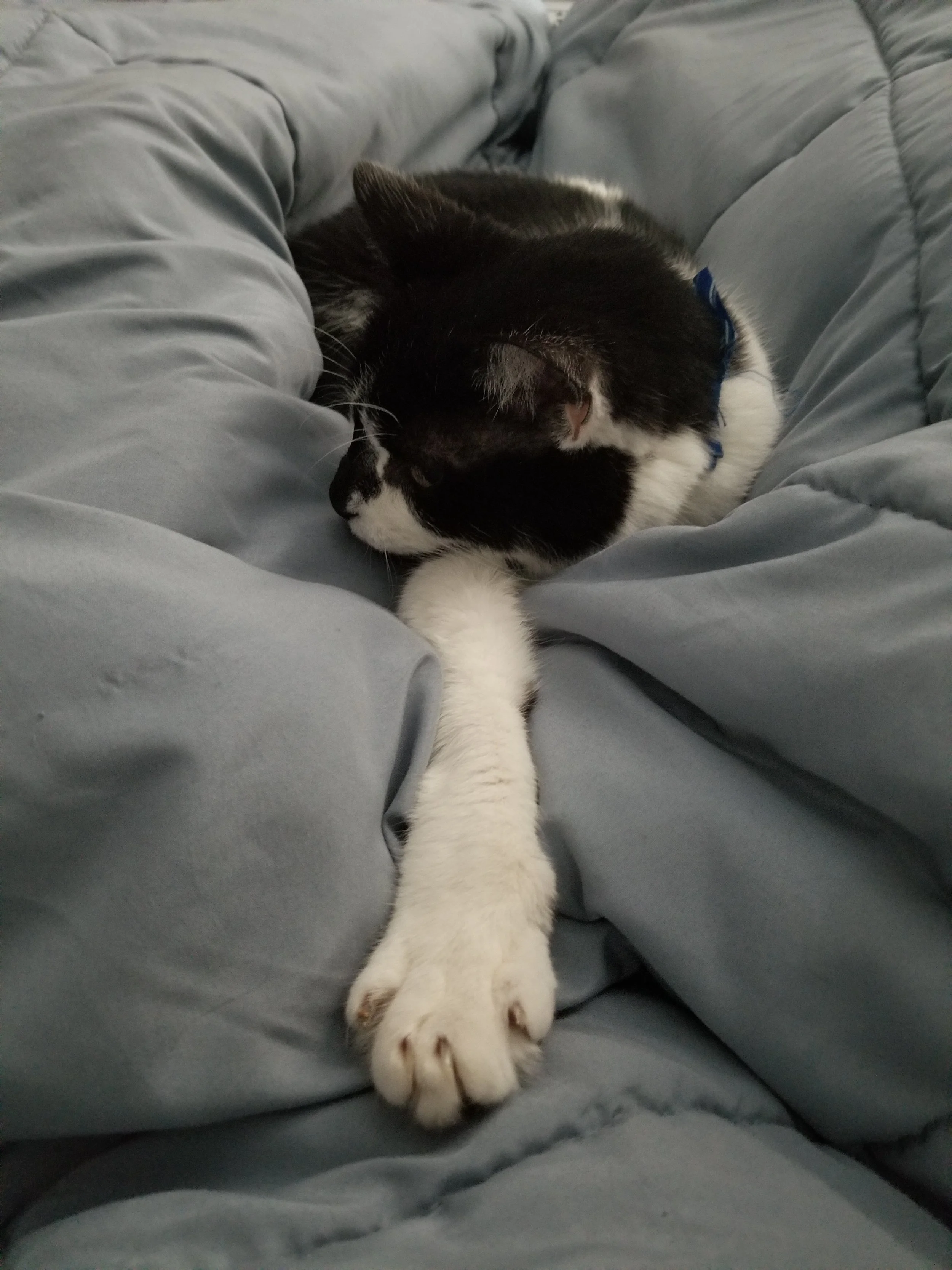 20180923_085542.jpg