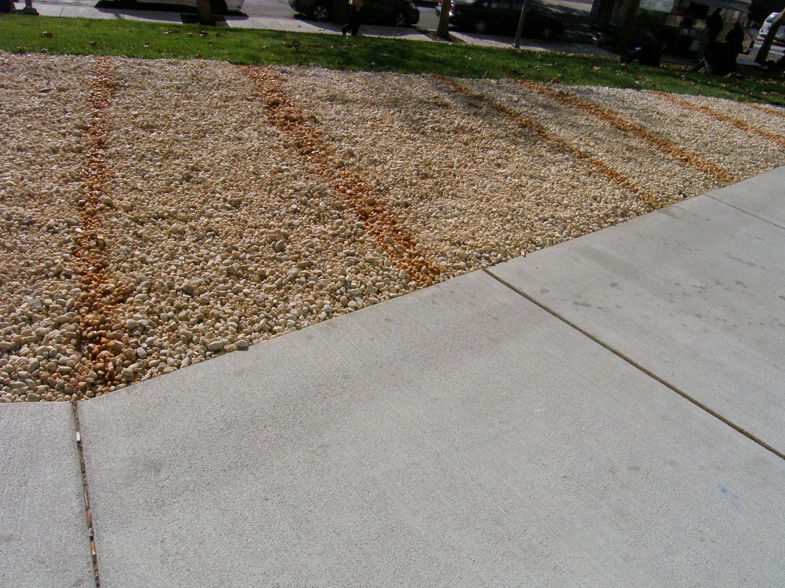 Rock Garden.JPG