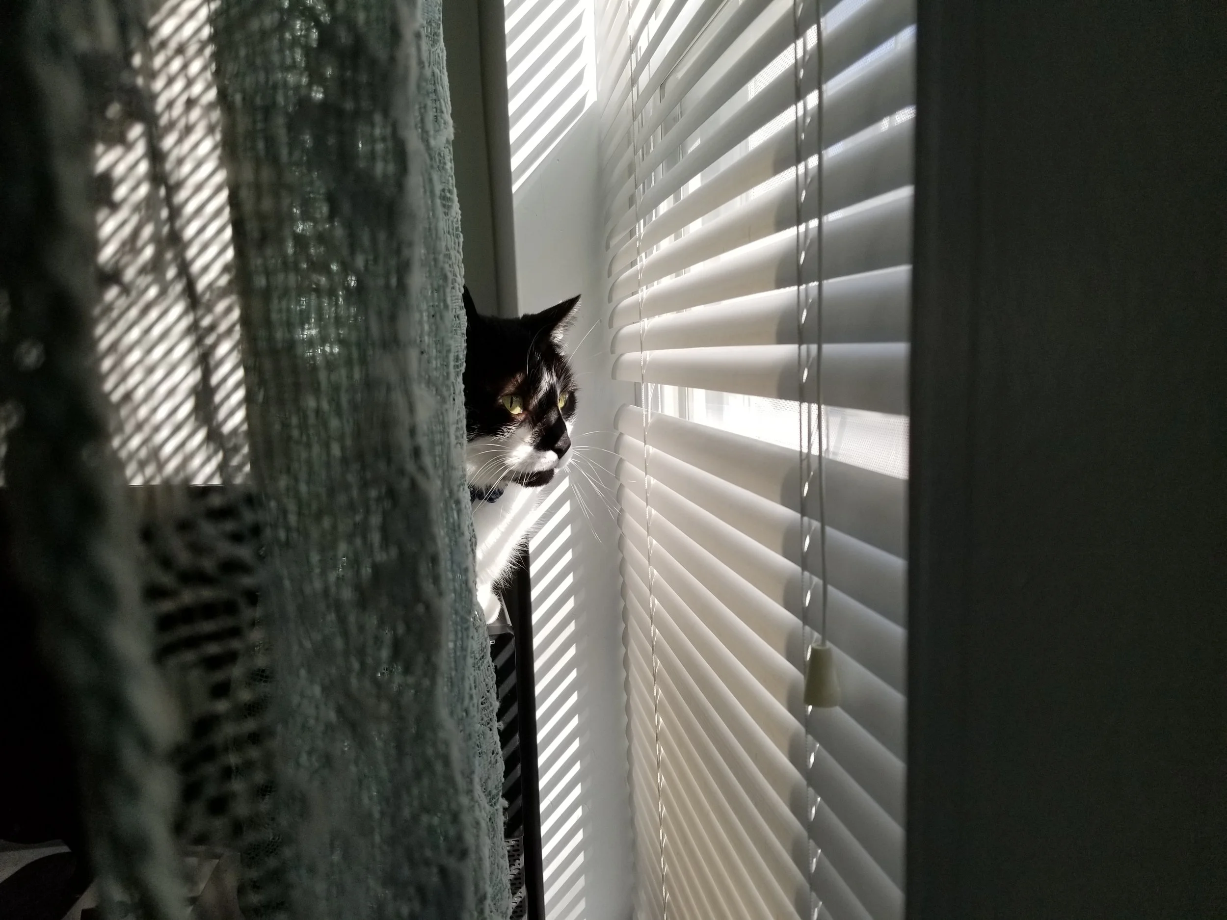 20190427_091632.jpg
