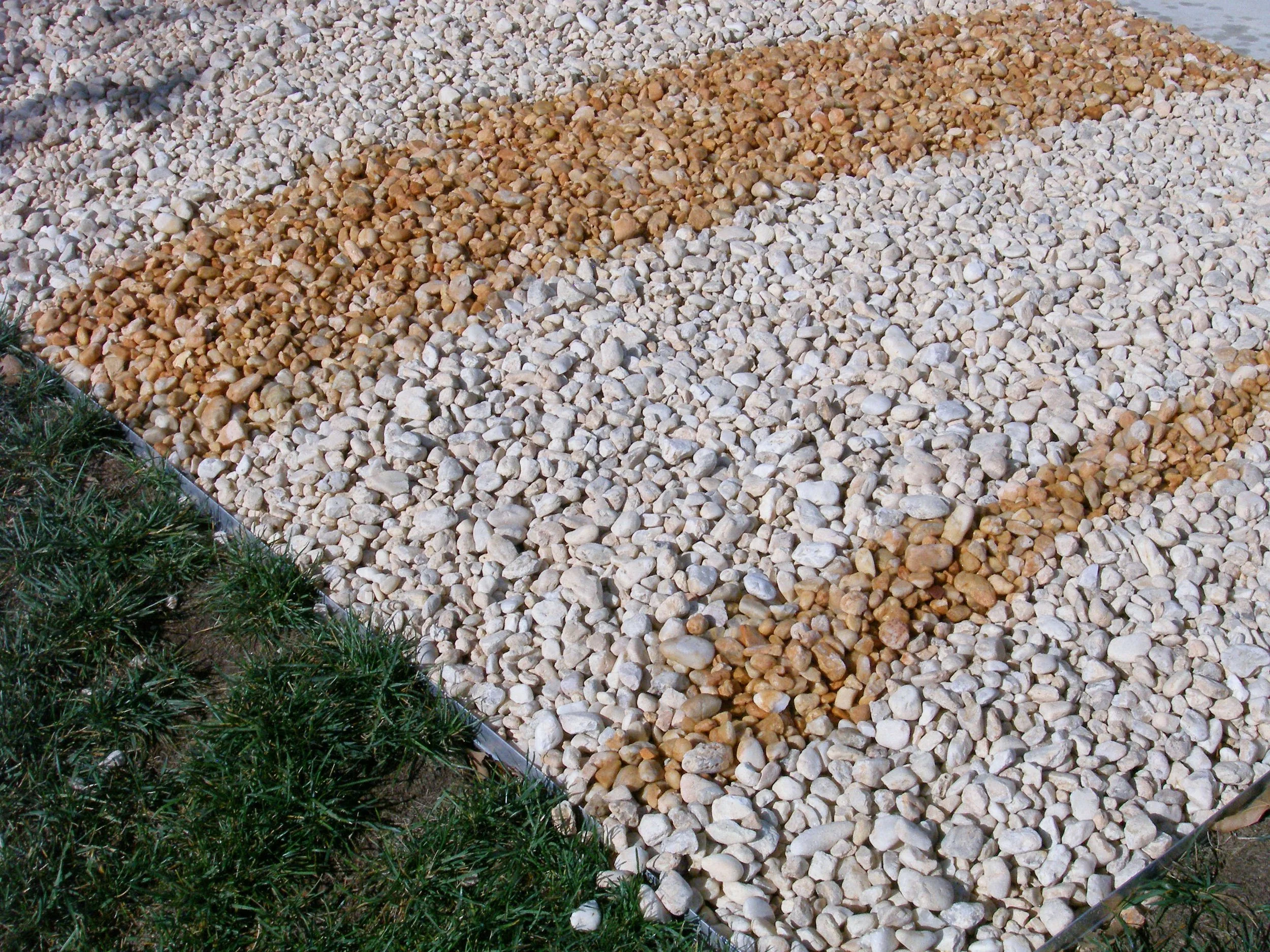 P1010046.JPG
