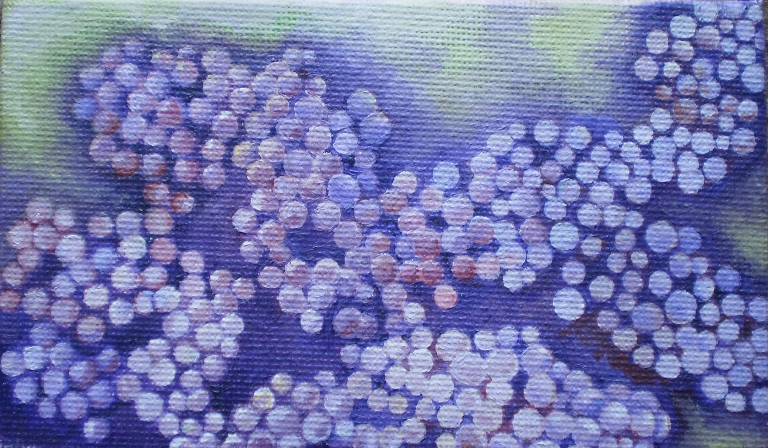 PB240263.JPG