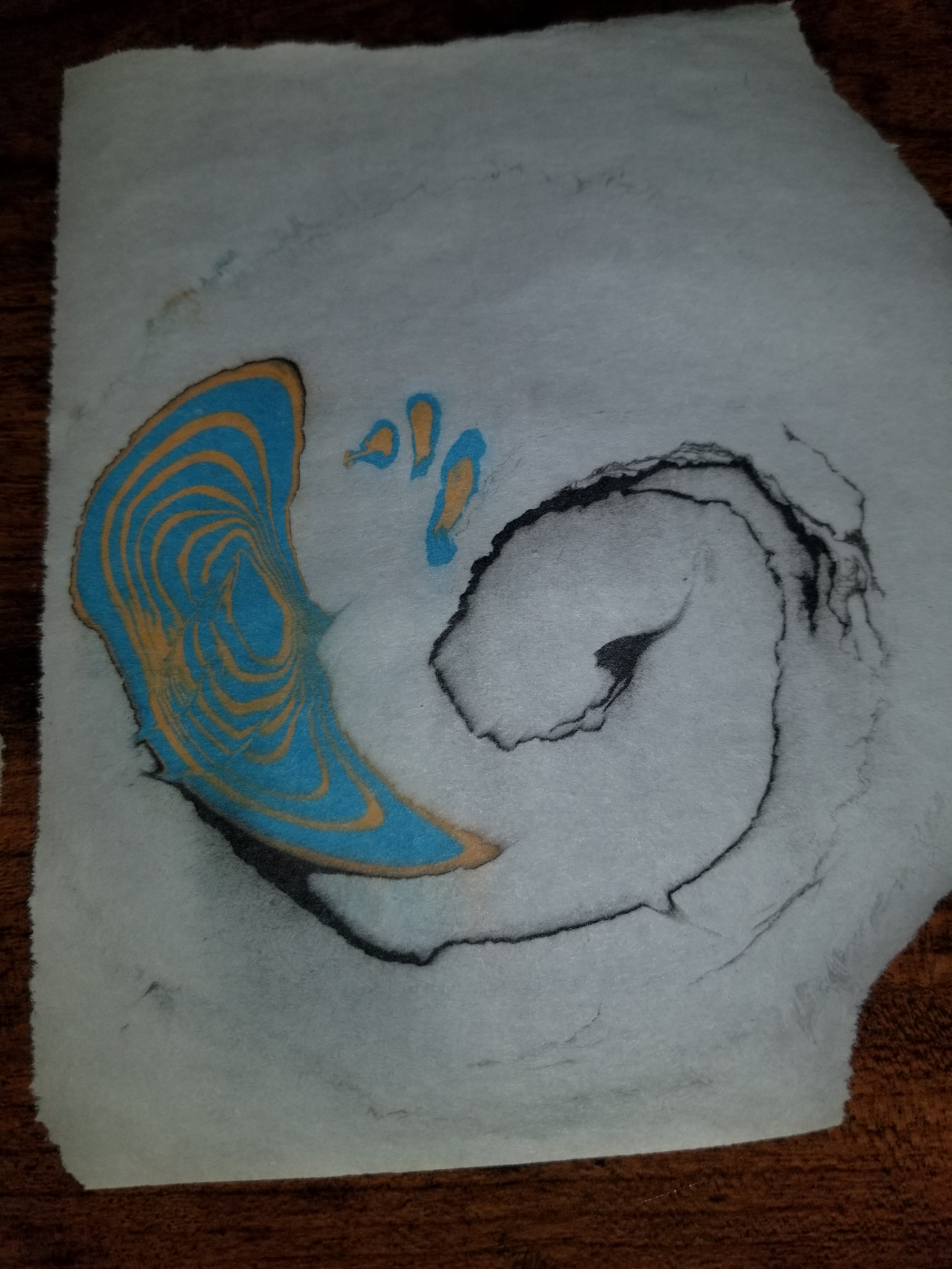 20190507_224026.jpg