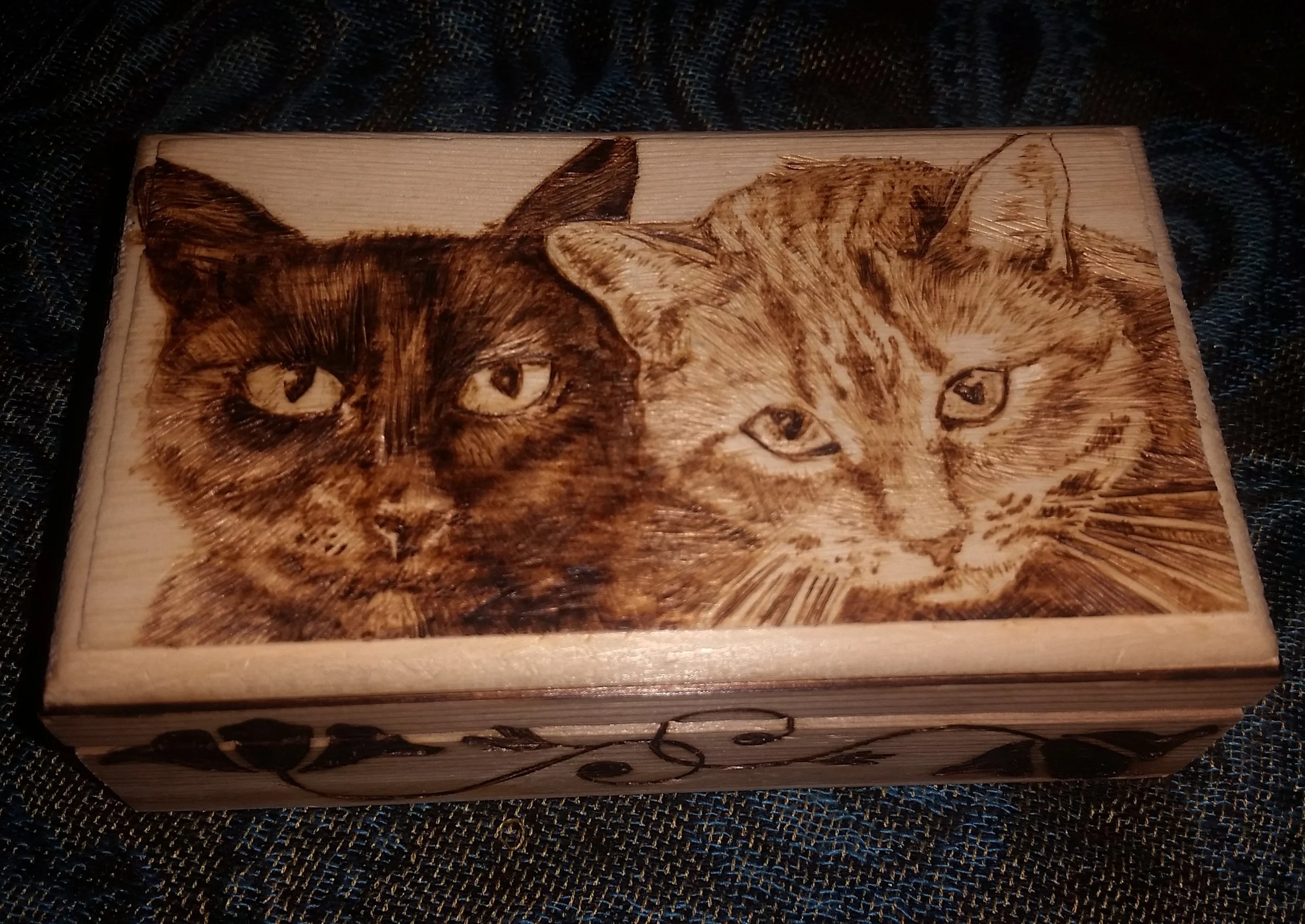 2018_ Cat box 3.jpg