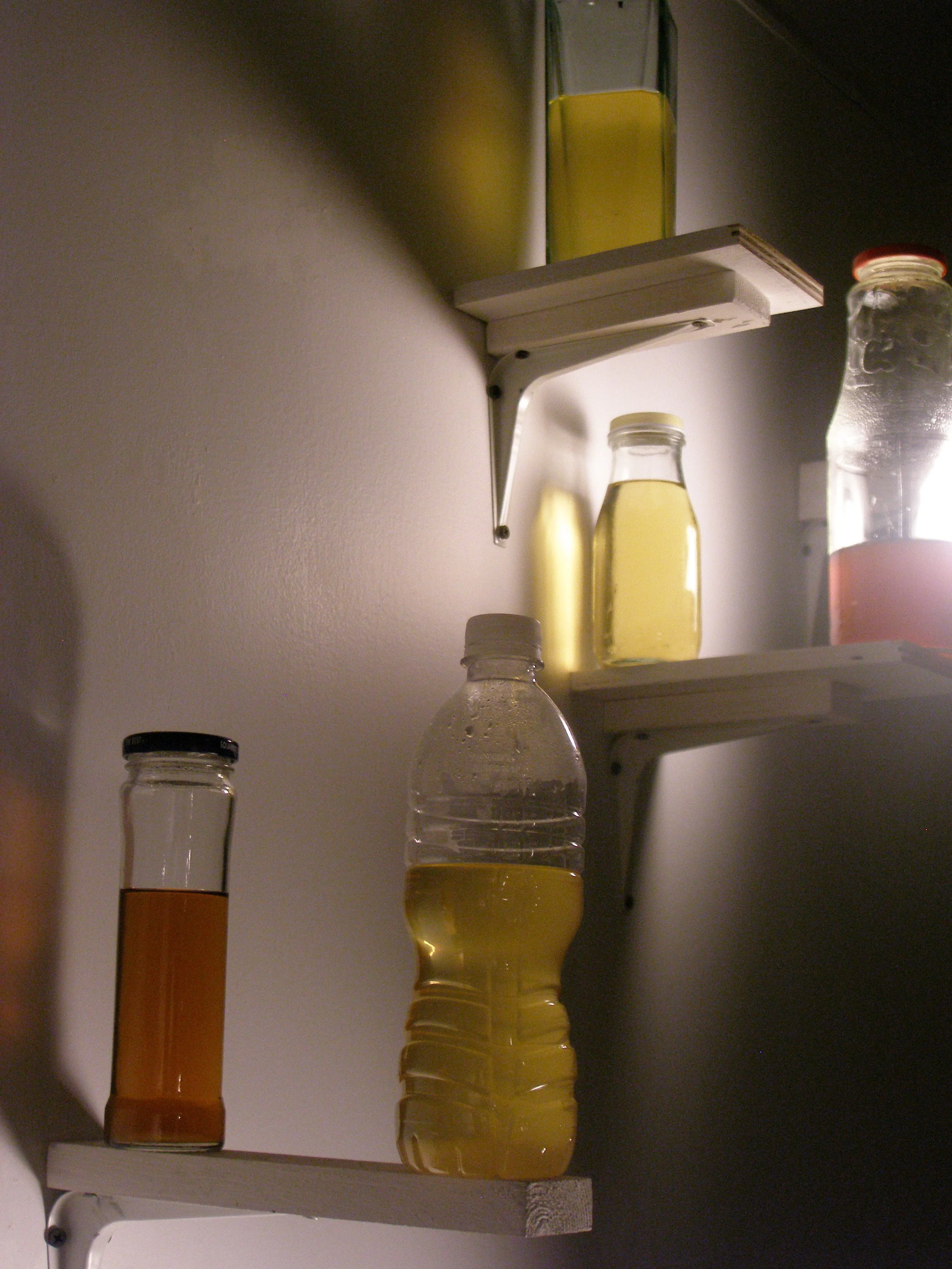 P1010055.JPG