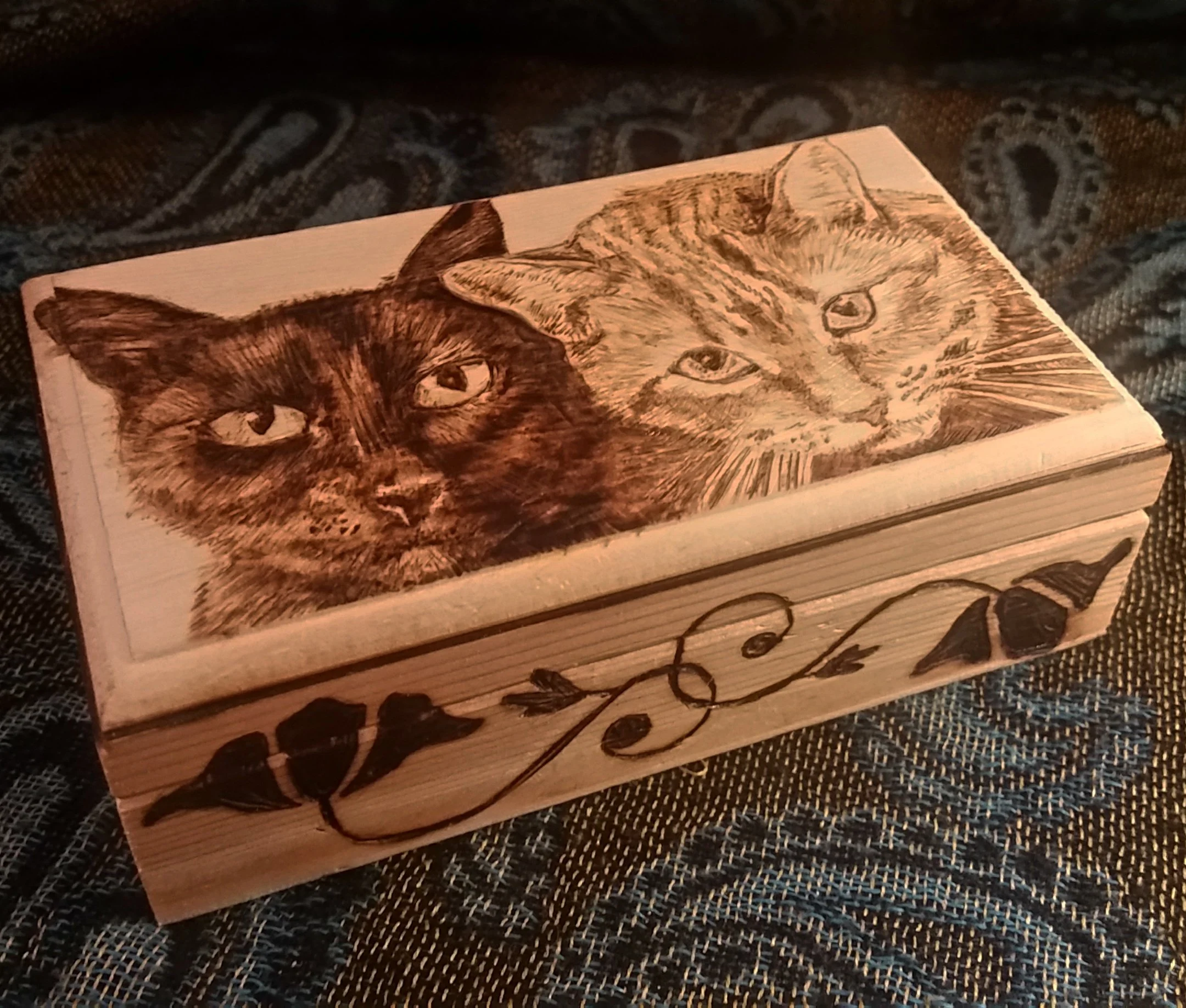2018_ Cat box 1.jpg