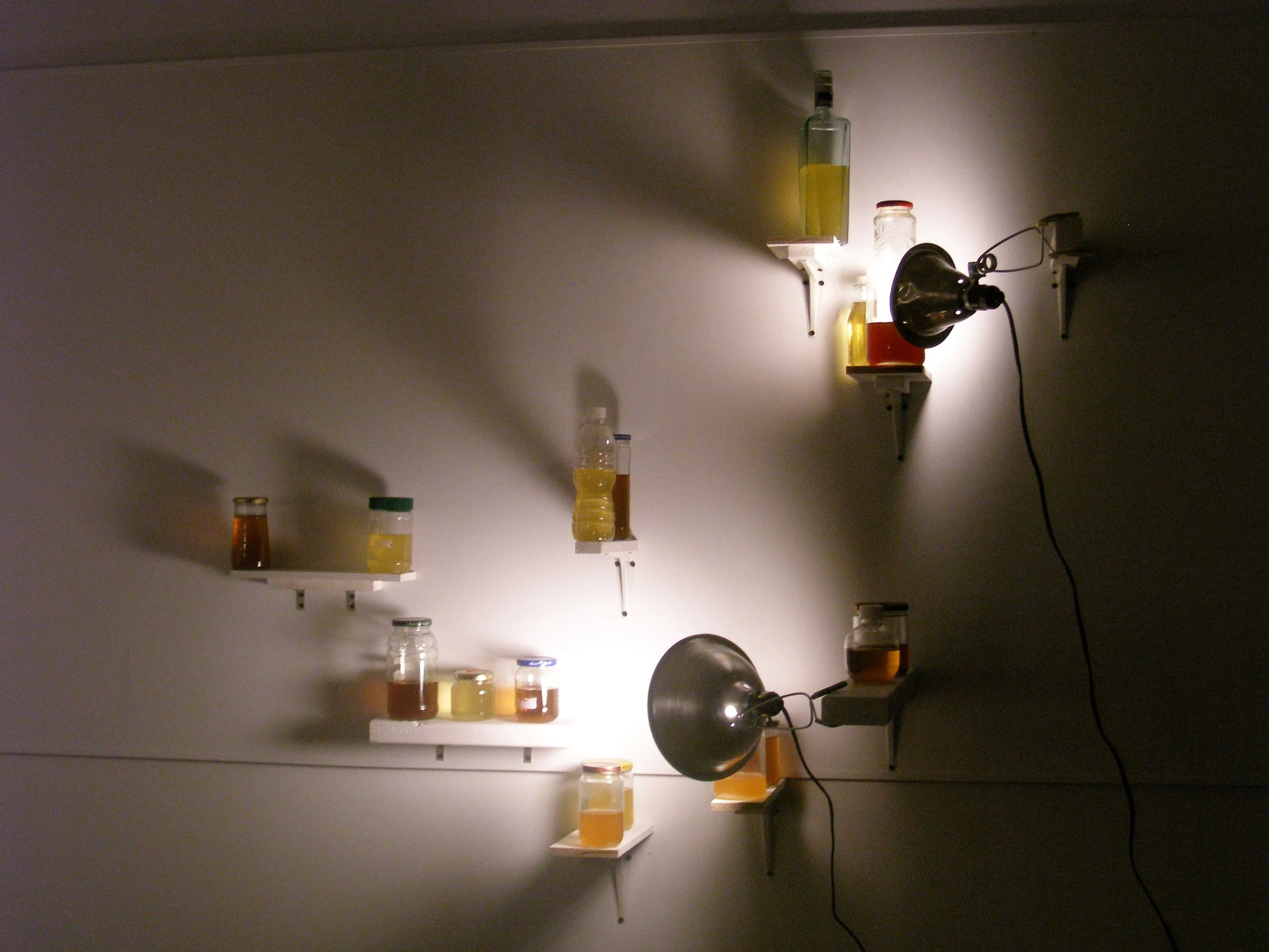 P1010094.JPG