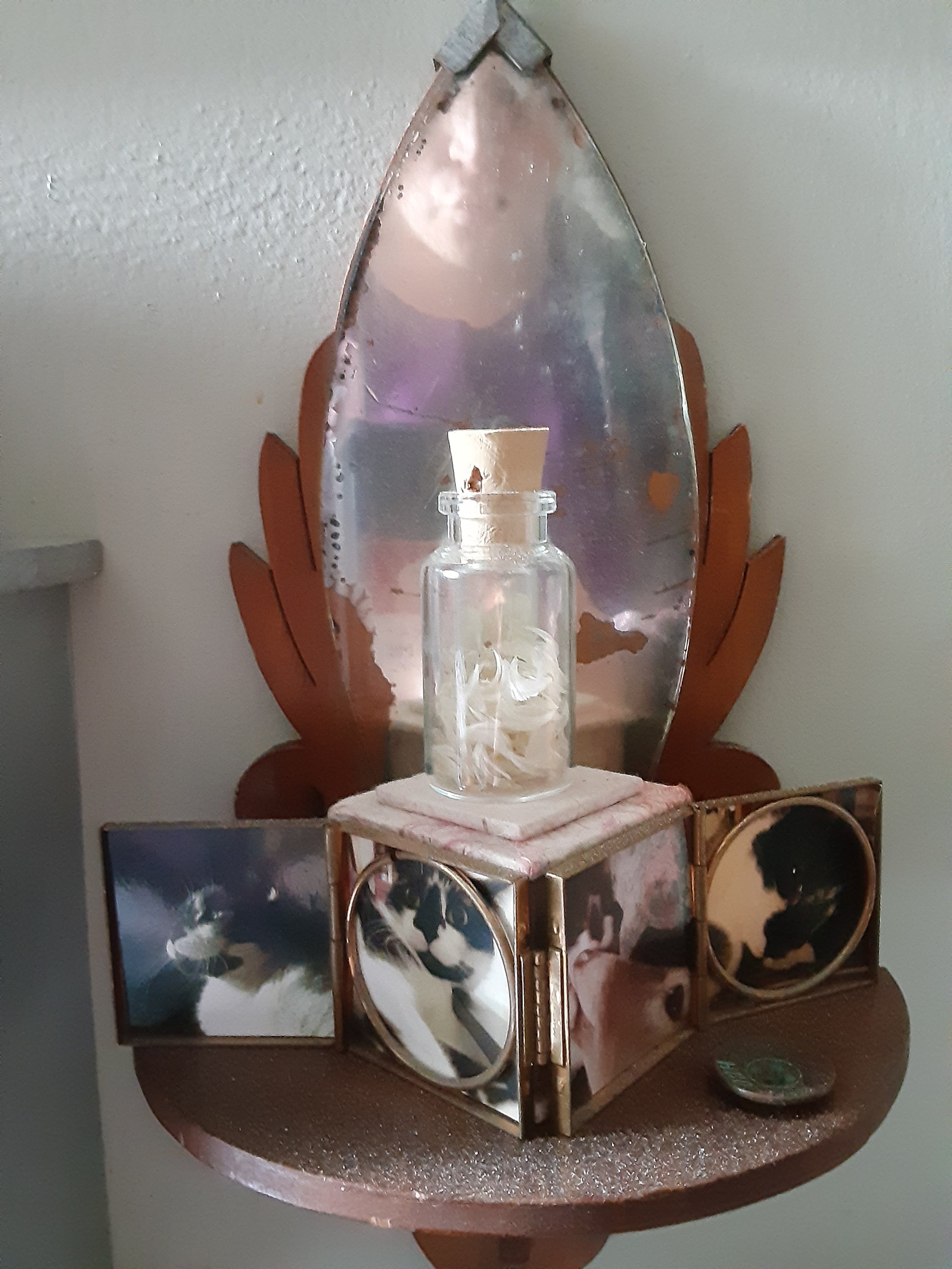20201020_131738.jpg