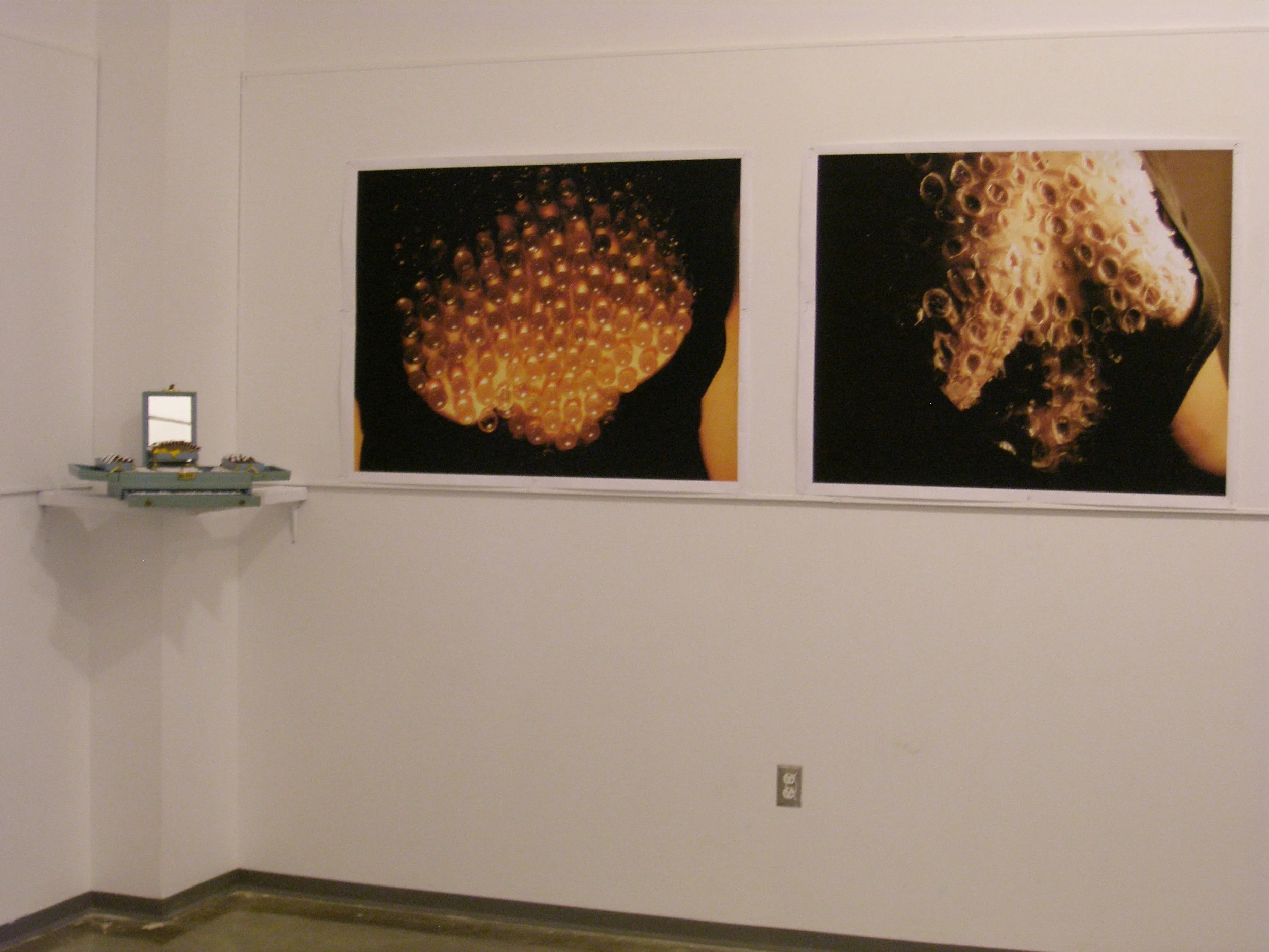 P1010002_2.JPG