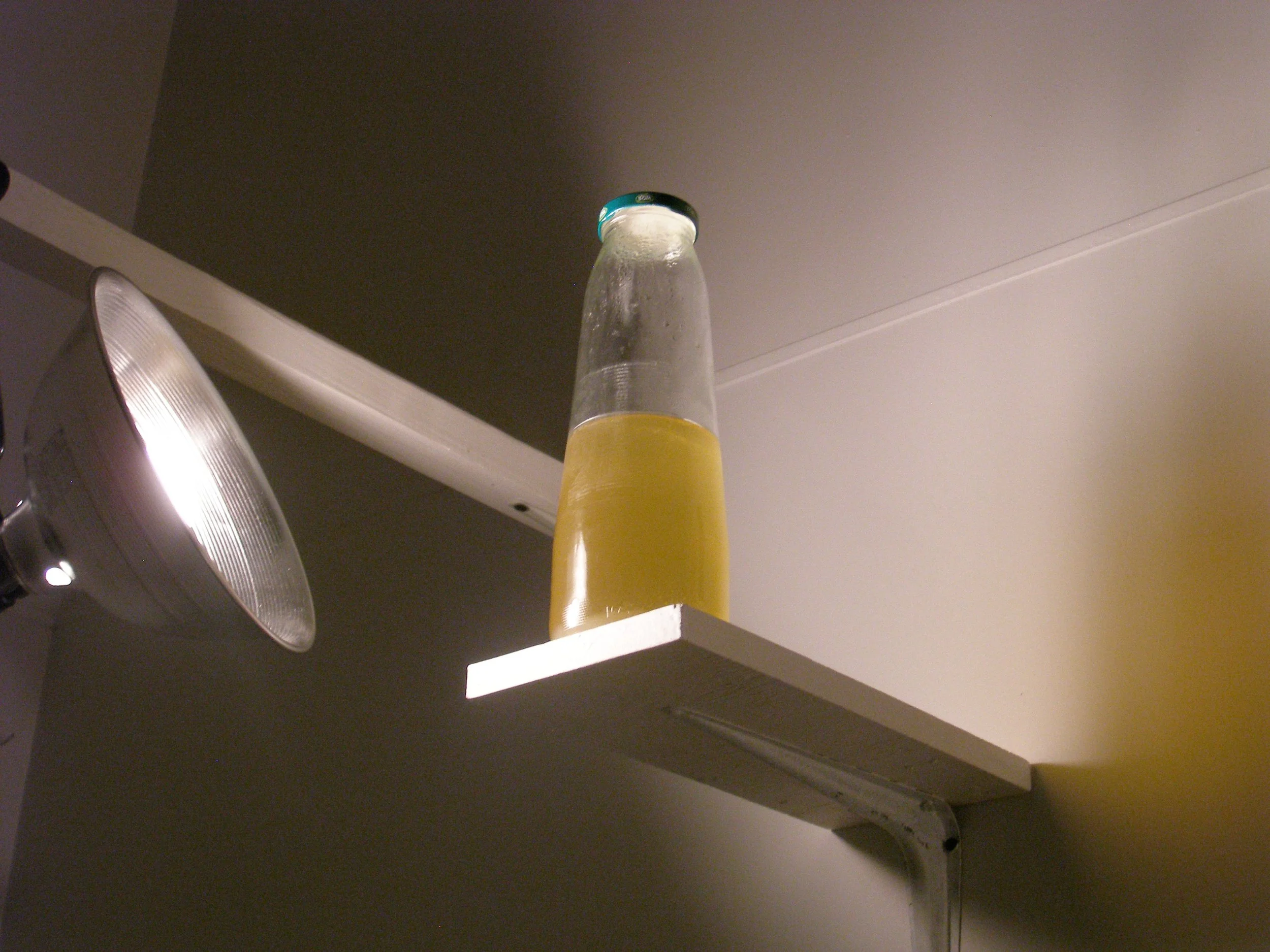 P1010093.JPG