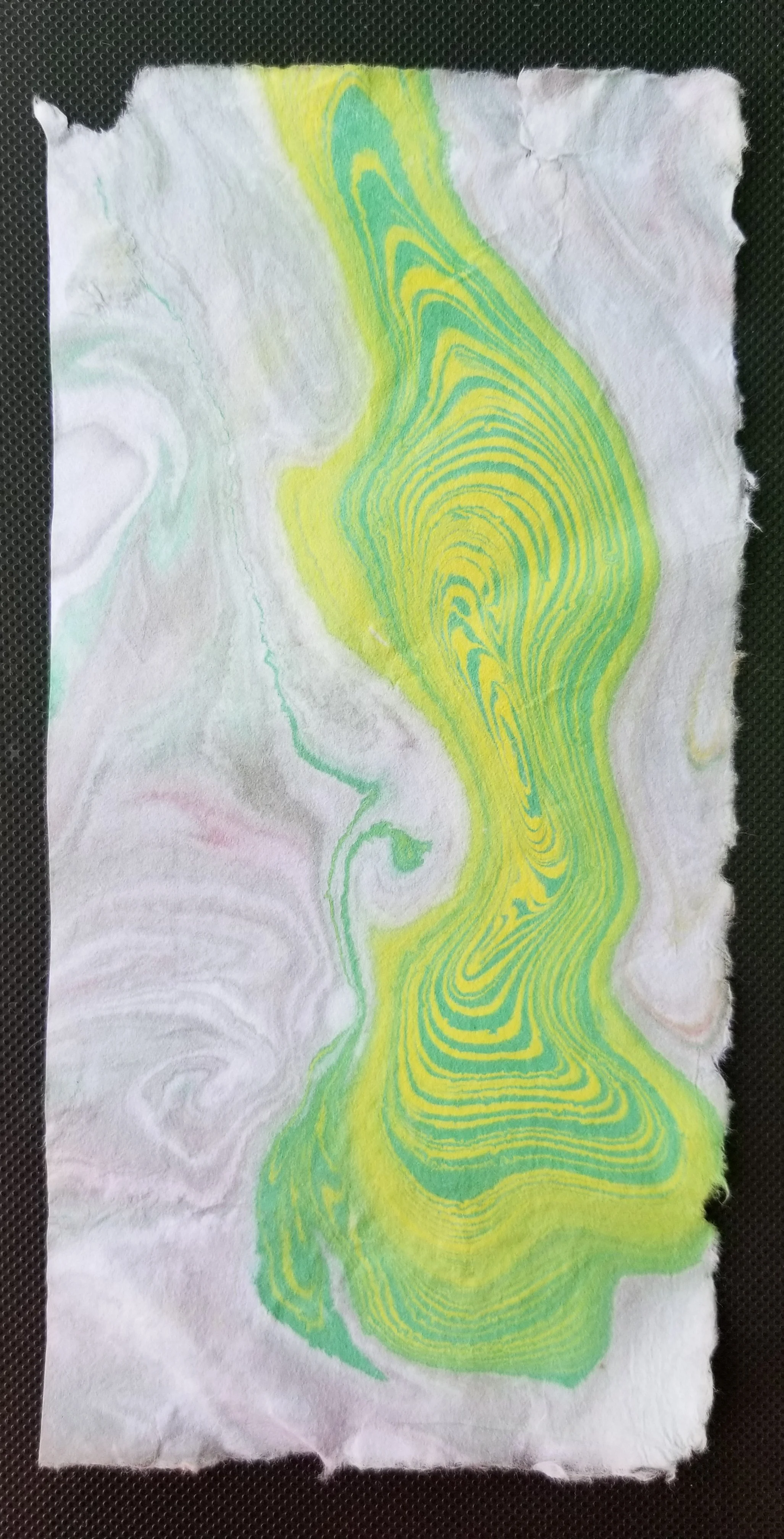 20190526_130537.jpg